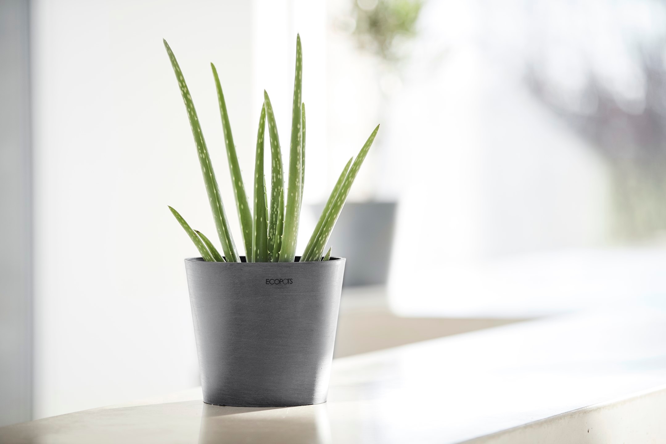 Ecopots Pflanztopf Amsterdam Ø 17 cm x 15 cm Grau günstig online kaufen