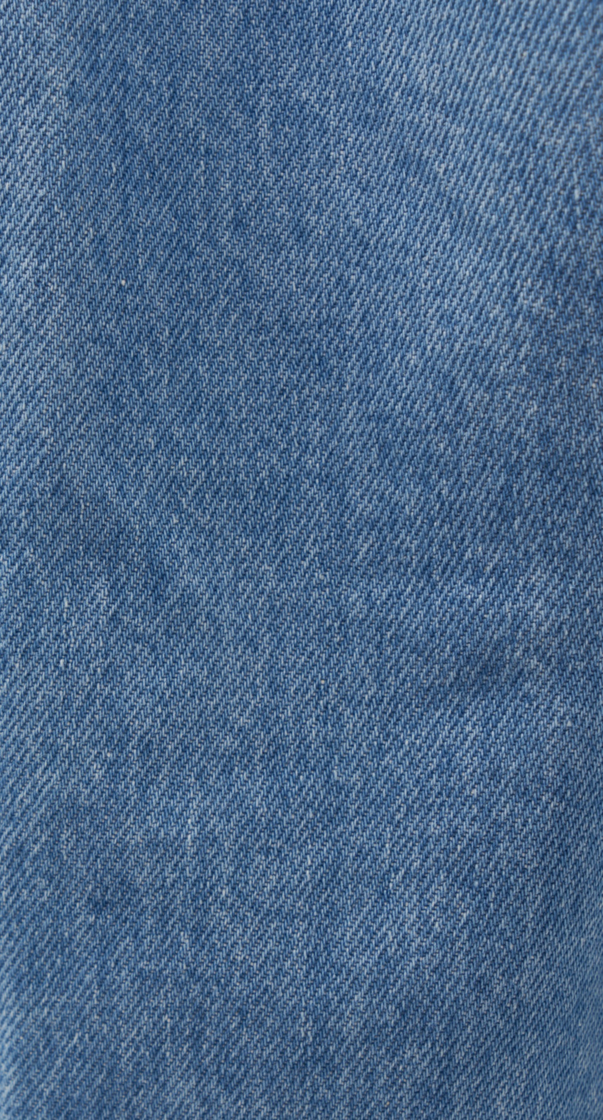 studio seidensticker Shorts »Studio«