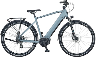 E-Bike »Prophete E-Bike Entdecker 3.8«, 8 Gang, Shimano, Altus, Mittelmotor 250 W