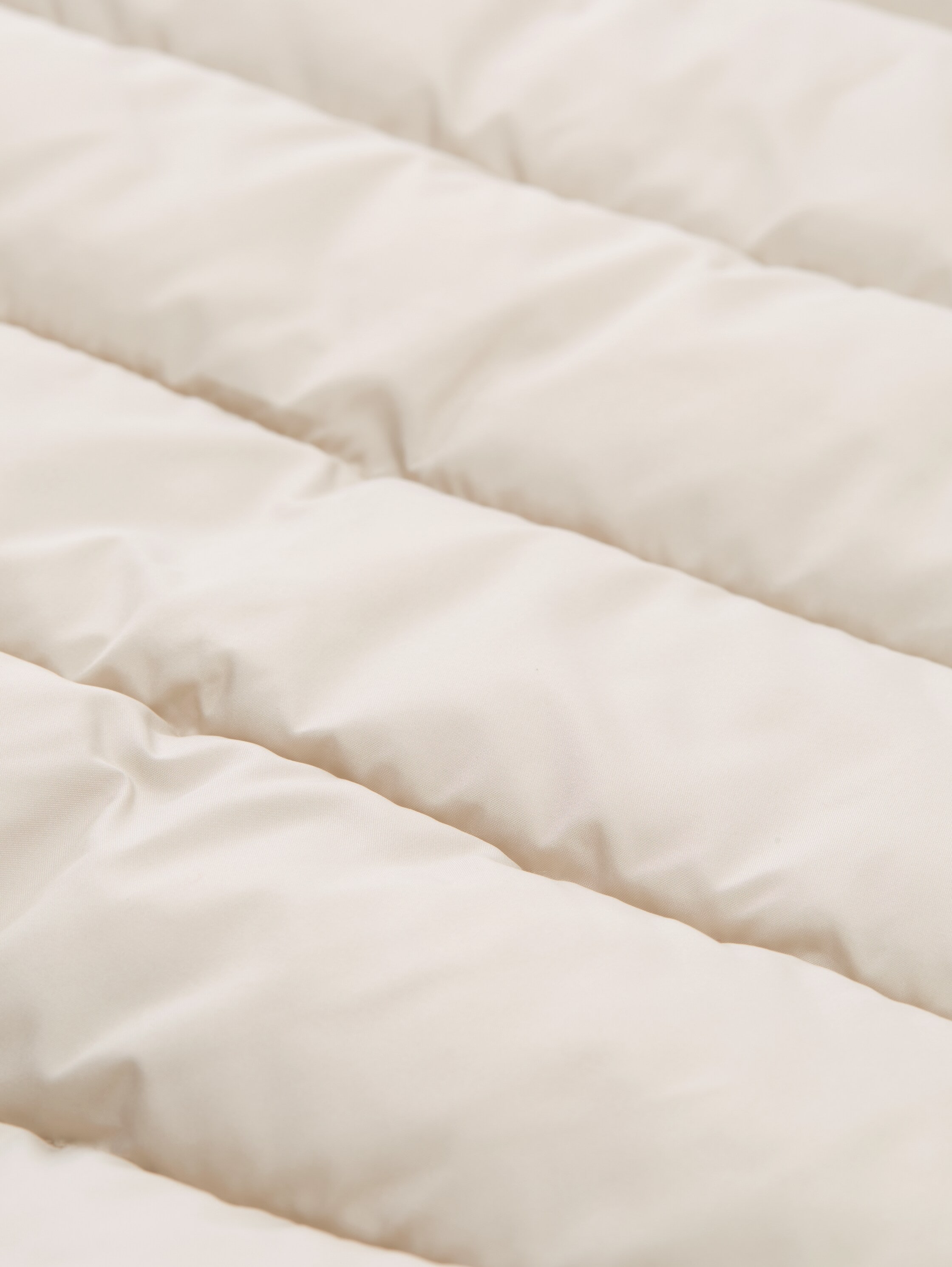 TOM TAILOR Steppjacke mit elastischem Bund