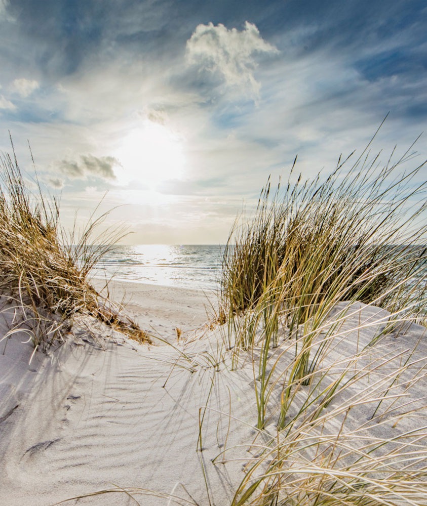 Bönninghoff Leinwandbild, Strand-Strandbilder-Meer-Meer Bilder-Natur-Landsc günstig online kaufen