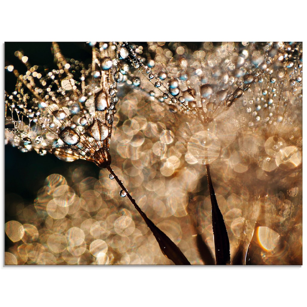 Artland Glasbild »Pusteblume Goldschimmer«, Blumen, (1 St.)