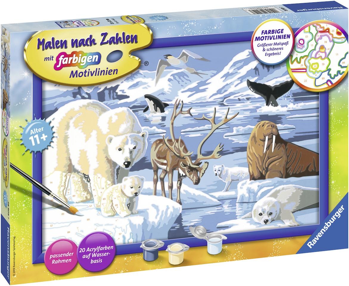 Ravensburger Malen nach Zahlen »Tiere der Arktis«, Made in Europe, FSC® - schützt Wald - weltweit