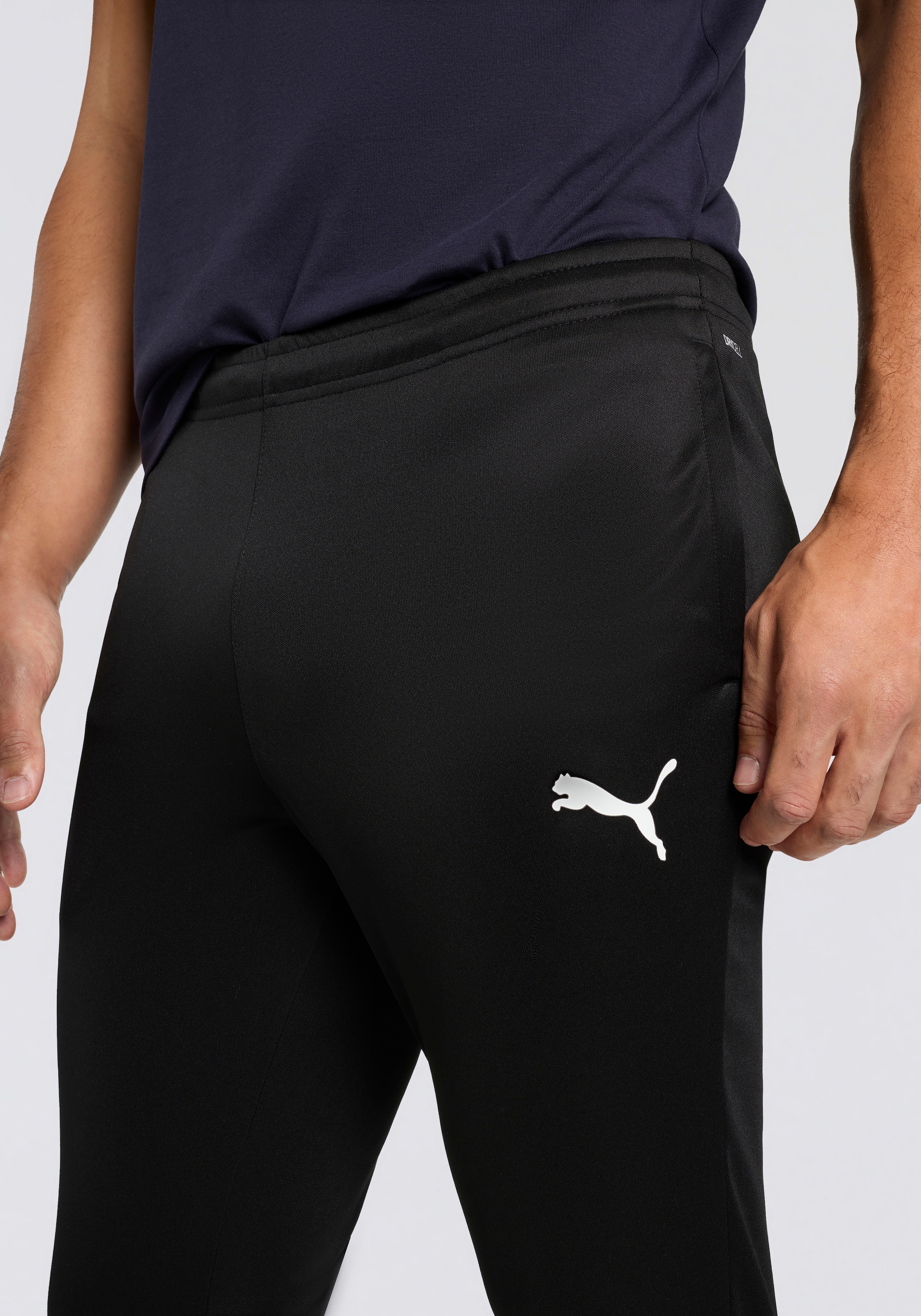 PUMA Trainingshose »TEAMRISE POLY TRAINING PANTS«