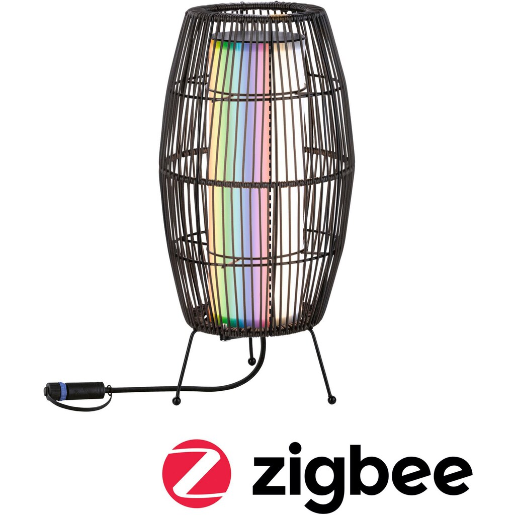 Paulmann LED Gartenleuchte »Outdoor Plug & Shine Basket 40 RGBW ZigBee IP44«, 1 flammig-flammig