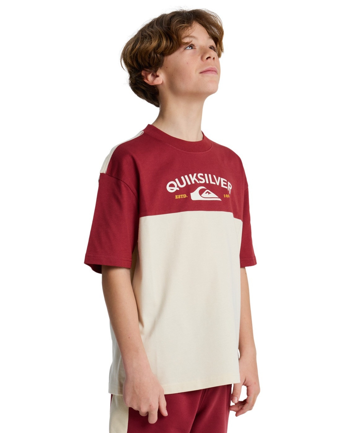 Quiksilver T-Shirt »Knowledge Aera«