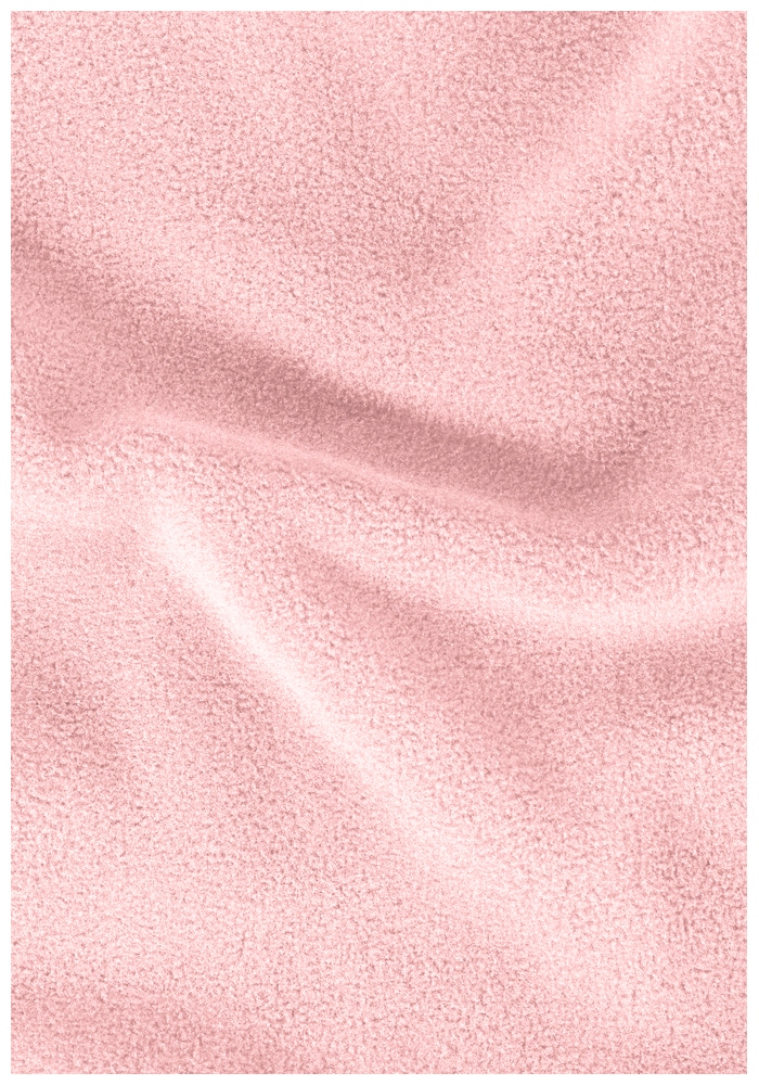 Jack Wolfskin Fleecejacke »TAUNUS 200 FZ W«