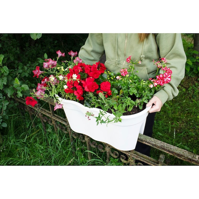 XXL«, (Set, »Flowerclip BAUR Balkonkasten 57,5x27,7x27 bestellen cm KHW 2 BxTxH: St.), |