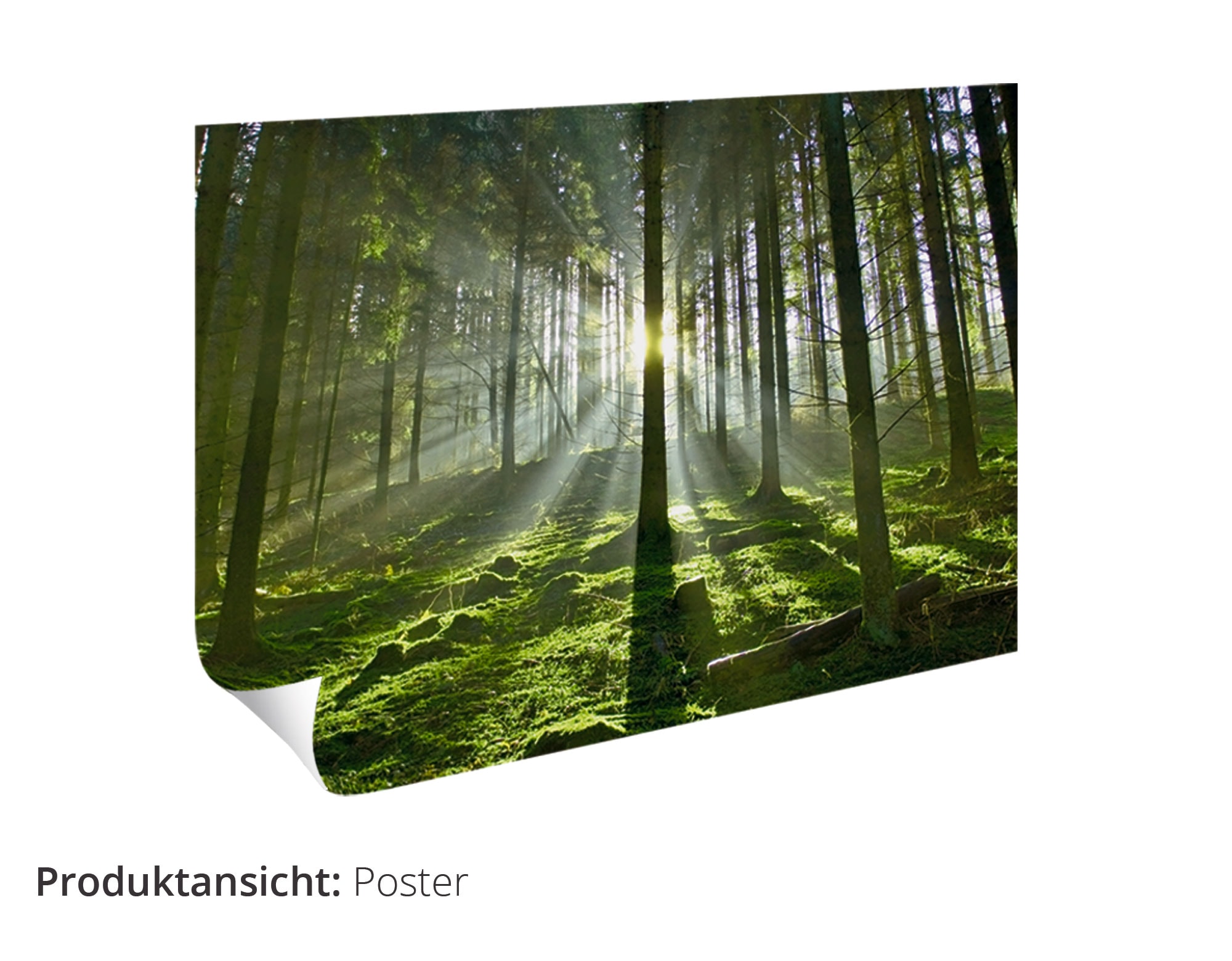 Artland Wandbild »Leipzig, Stadtansicht«, Deutschland, (1 St.), als Alubild, Leinwandbild, Wandaufkleber oder Poster in versch. Größen