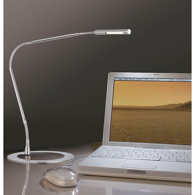 Paulmann LED Schreibtischlampe »Plaza«, 1 flammig-flammig kaufen | BAUR