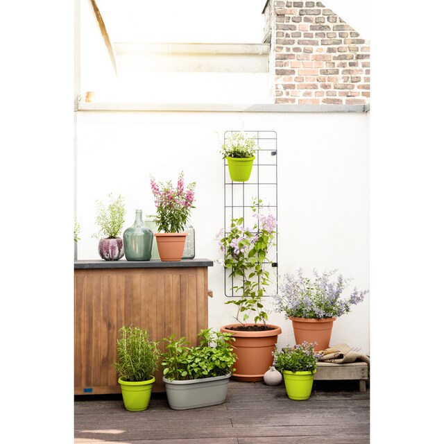 Poétic Blumenkasten »CITY«, Wandgartenrankgitter 110x36 inkl. 8 Topfhaken  und zwei Töpfe bestellen | BAUR