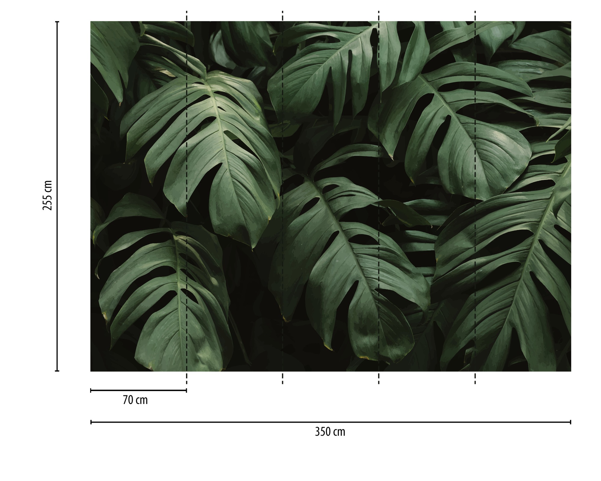 Thumbnail - A.S. Création Vliestapete "Fototapete Monstera Blätter Dunkelgrün Tropisch" matt strukturiert