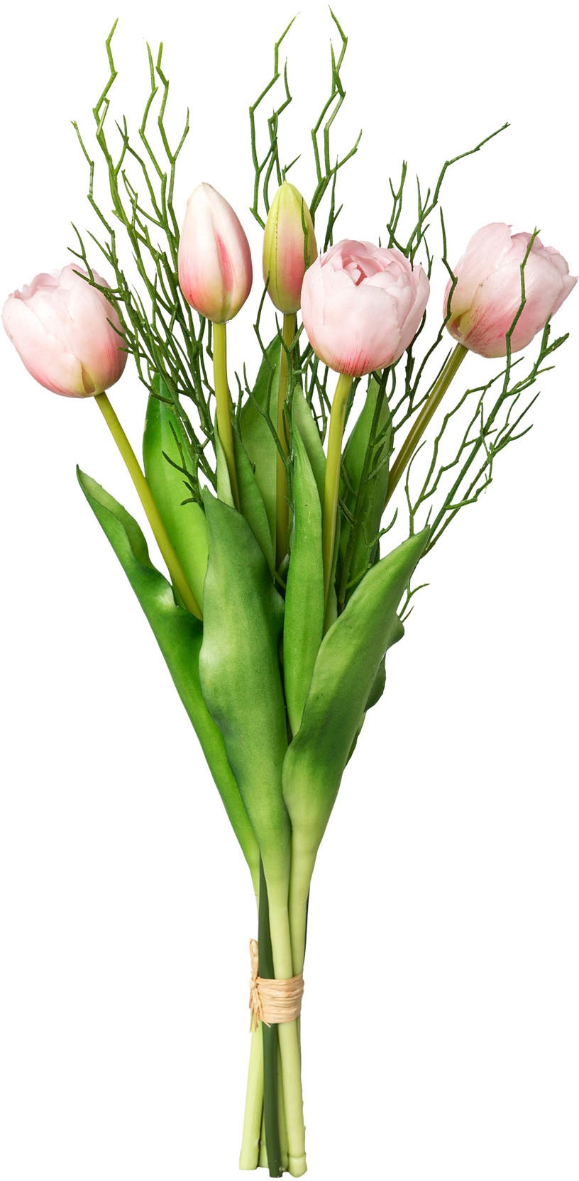 Kunsttulpe Tulpenbund Tulpe, my home, Höhe günstig online kaufen