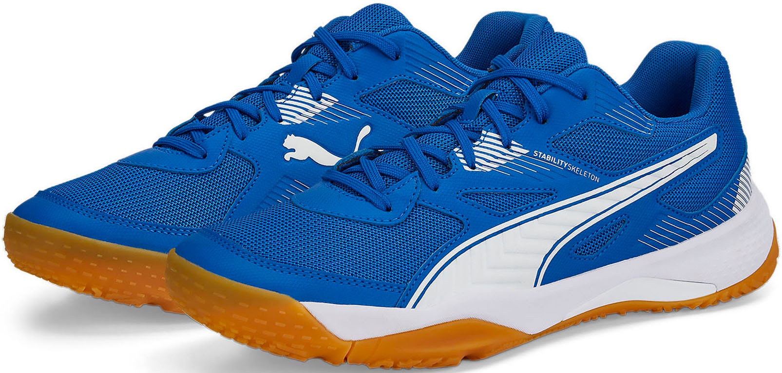 PUMA Hallenschuh "SOLARFLASH II" günstig online kaufen