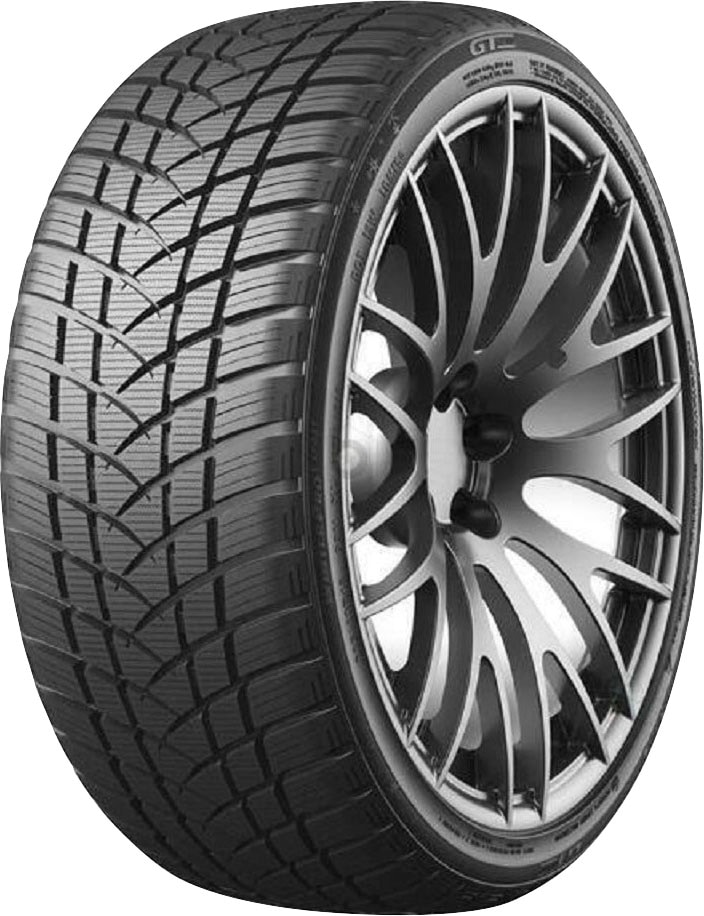 GT Radial Winterreifen »WINTERPRO 2«