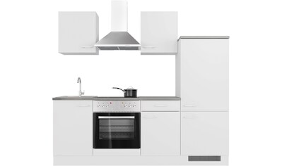Flex-Well Küche »Lucca«, mit E-Geräten, Breite 220 cm, in vielen Farbvarianten erhältlich kaufen
