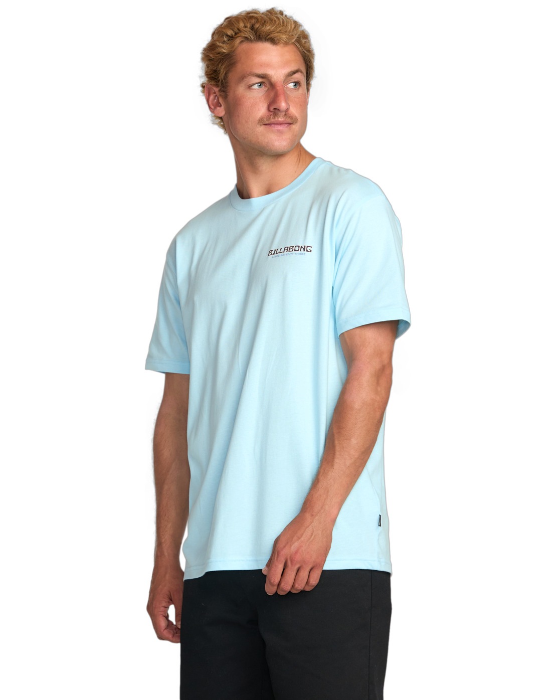 Billabong T-Shirt »Window Premium«