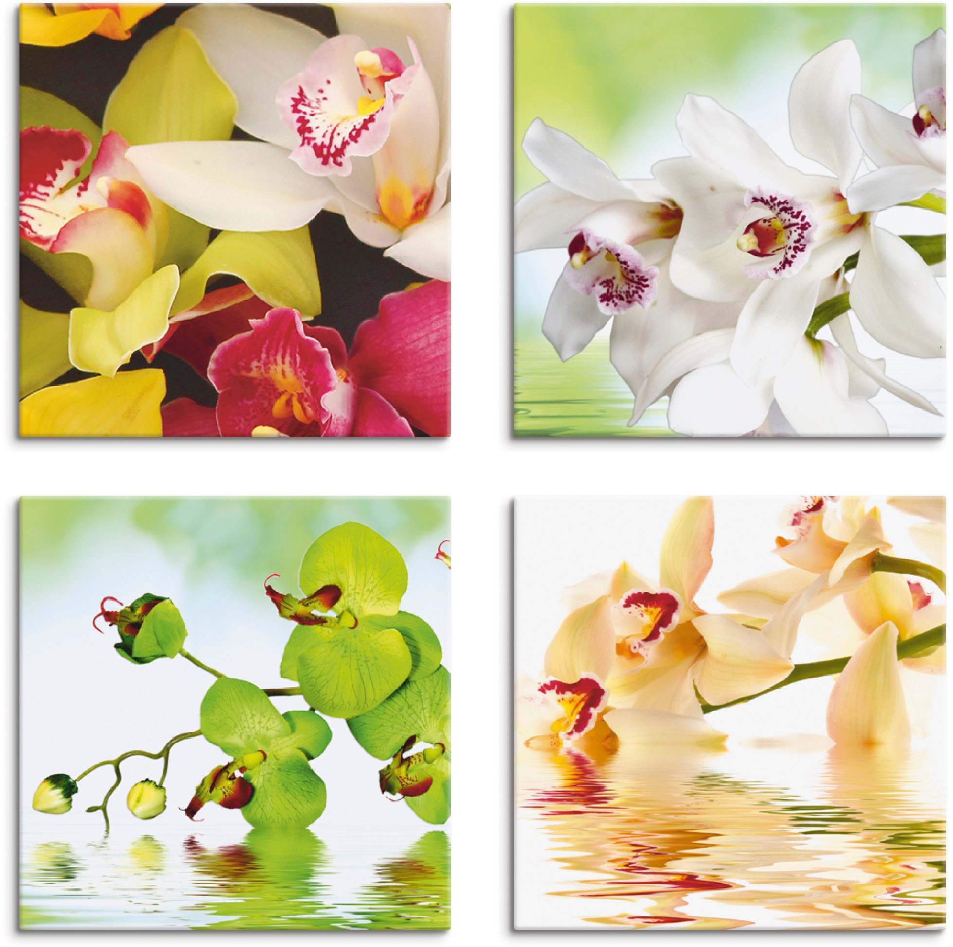 Artland Leinwandbild "Orchideen Blumen" Blumen 4 Stk. tlg. 4er Set, verschiedene Größen