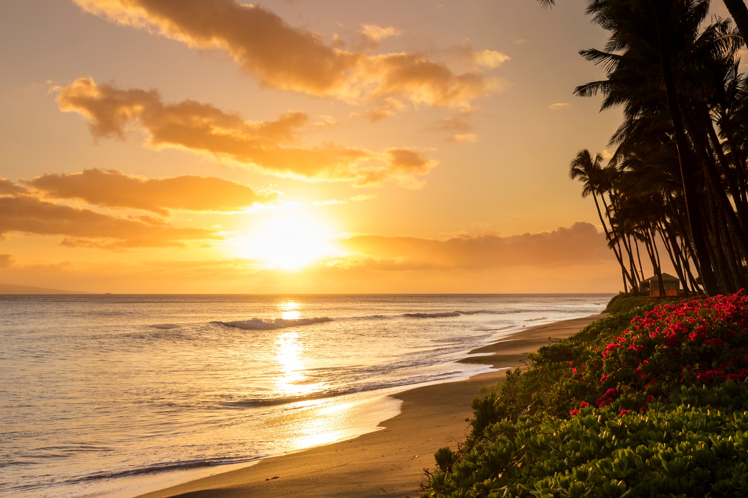 Papermoon Fototapete "Tropical Sunset Kaanapali Beach" glatt günstig online kaufen