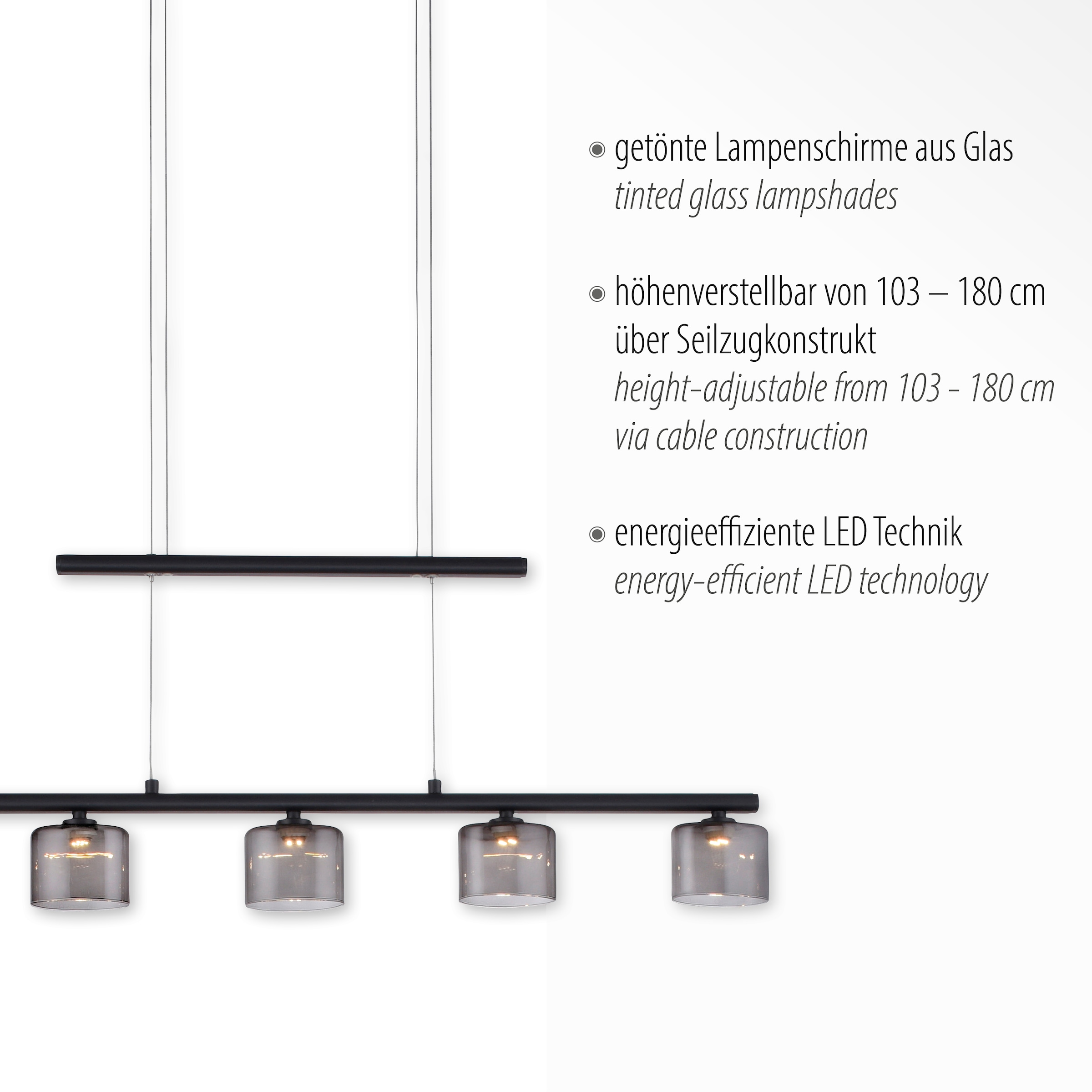 Paul Neuhaus Pendelleuchte »HYDRA«, 5 flammig-flammig, LED