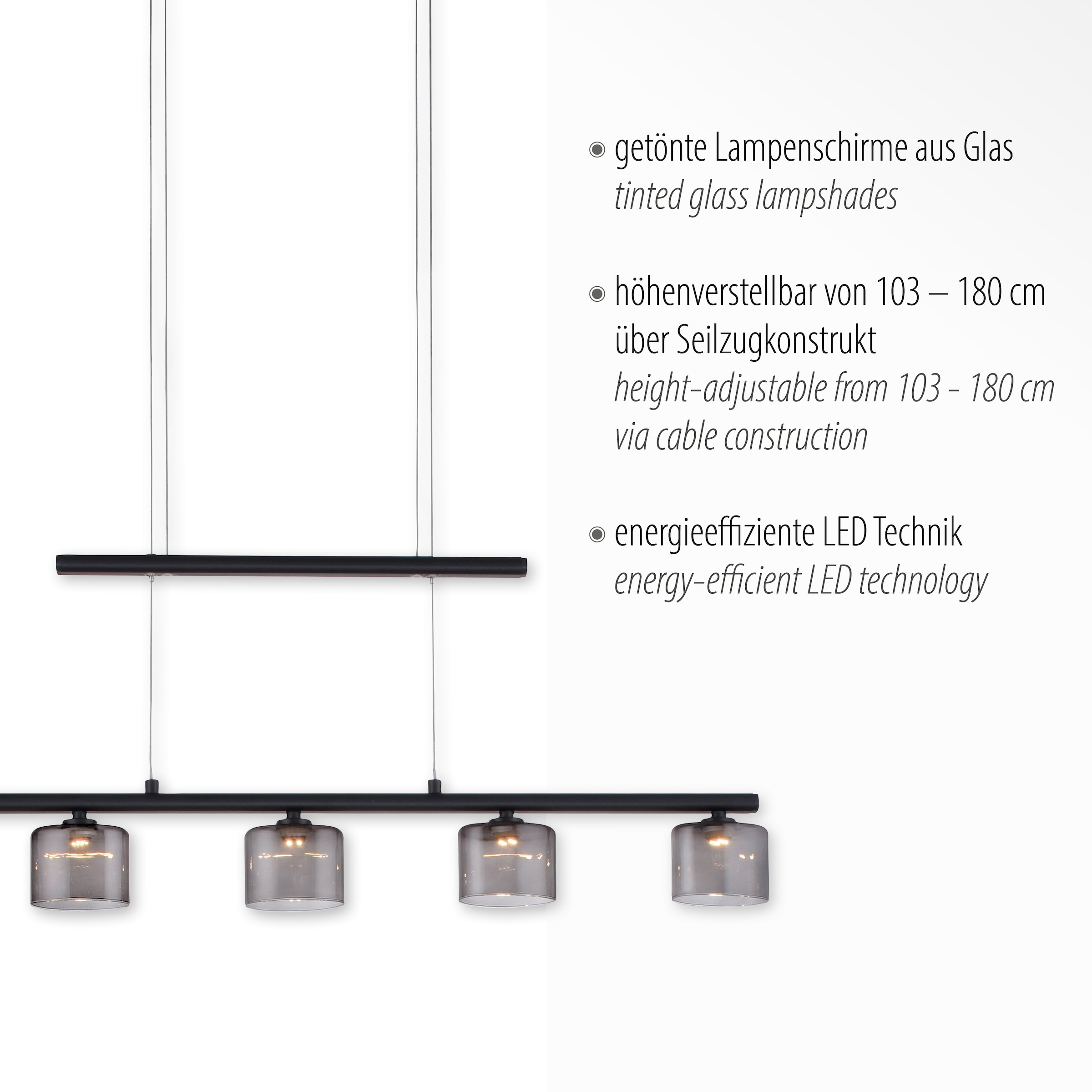 Paul Neuhaus Pendelleuchte "HYDRA", 5 flammig, Leuchtmittel LED-Board  LED günstig online kaufen