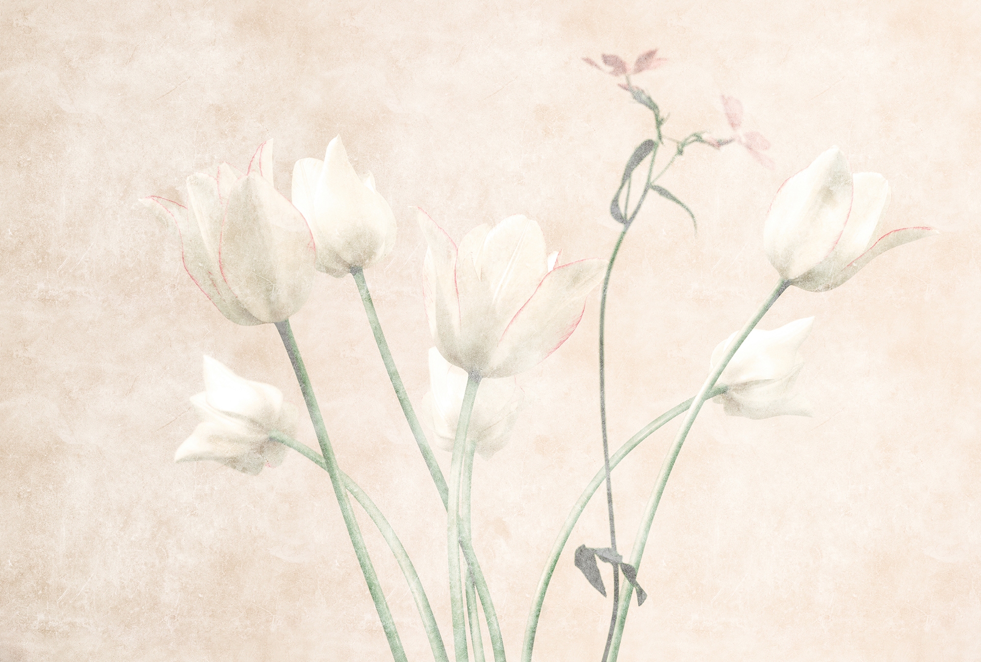 LIVING WALLS Fototapete "Walls by Patel Morning Room", B/L: 4mm x 2,7mm, gelb, Wohnzimmer, Tapeten, Vlies, Wand