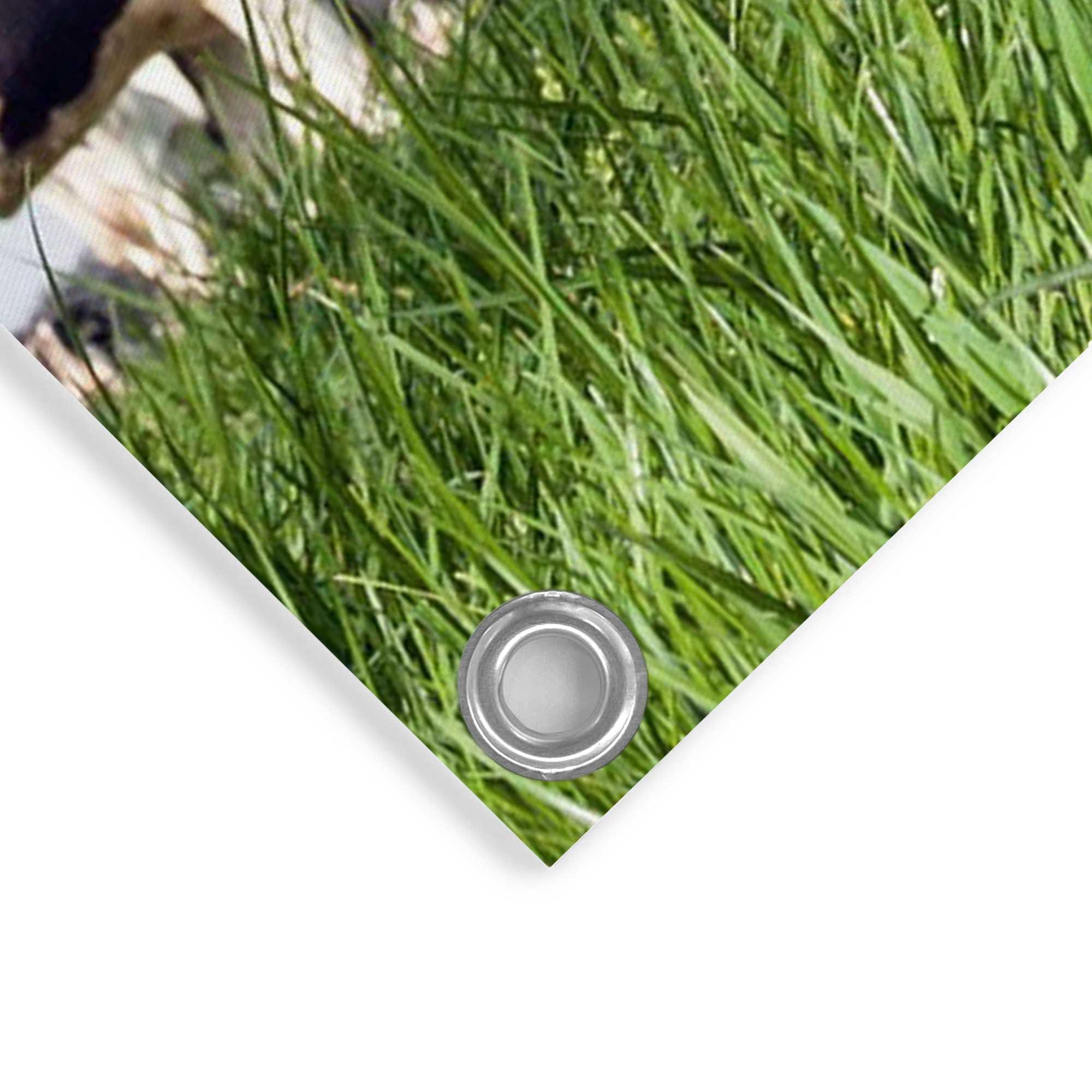 Reinders! Poster »Dutch Cow«, Garten - Kuh - Wiese - Grün - Leinwand - Tiere - 60x80 cm