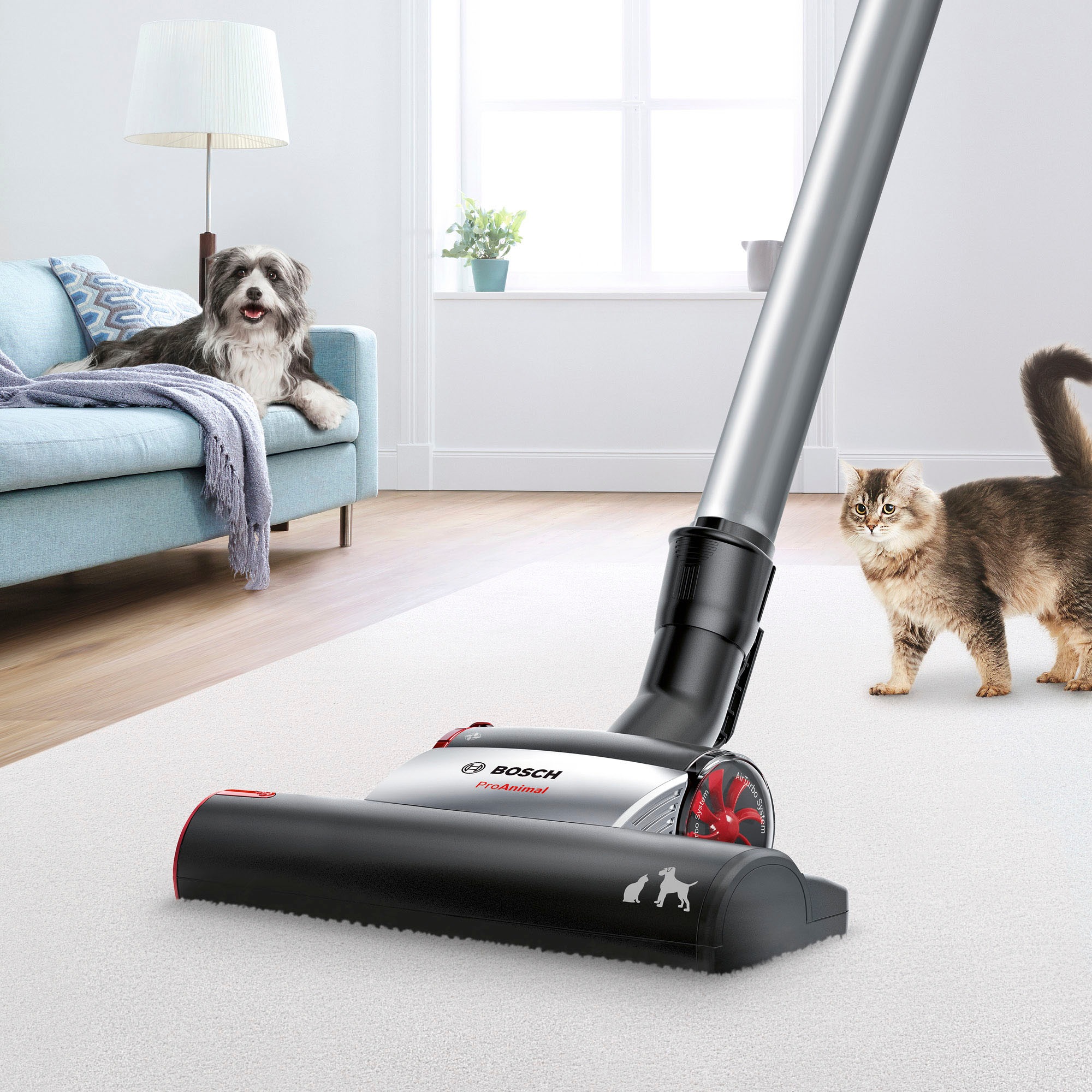 BOSCH Bodenstaubsauger "Serie 6 ProAnimal BGC41PET, ideal für Tierhaare, Hy günstig online kaufen
