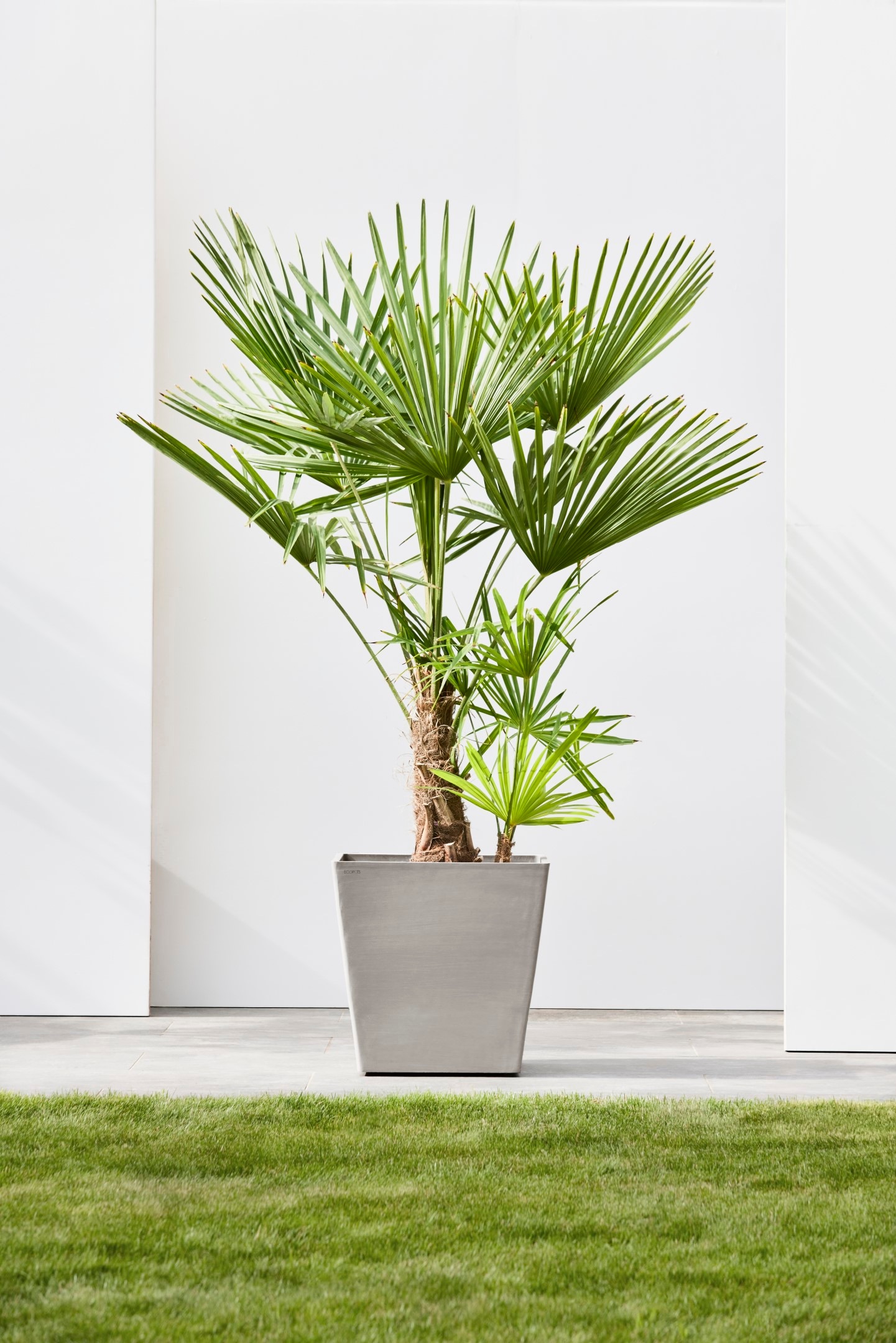 ECOPOTS Blumentopf »Rotterdam mit Rollen 50 Taupe« für innen und außen: frostsicher, bruchsicher und lichtbeständig