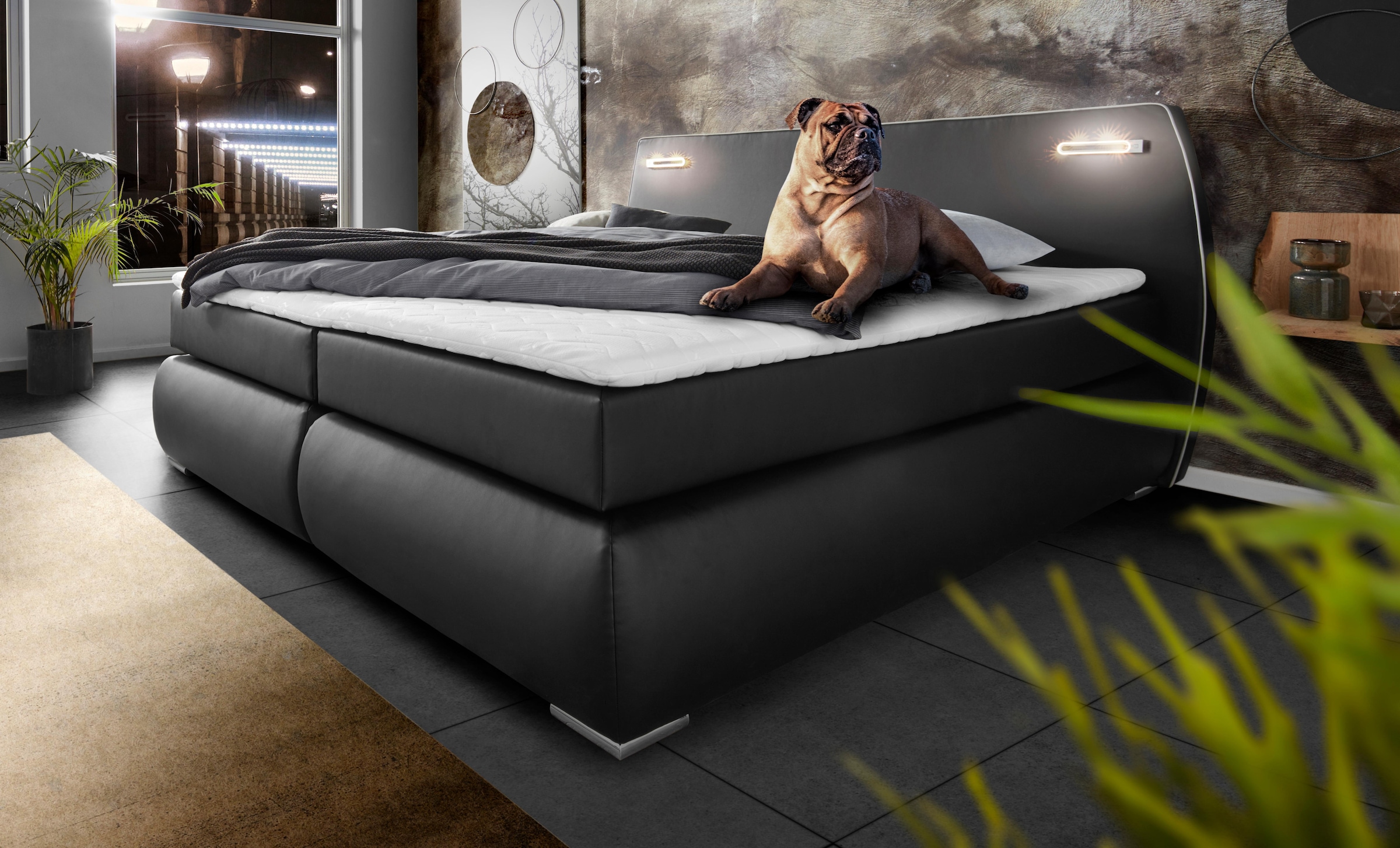 INOSIGN Boxspringbett »Black & White«, incl. LED Beleuchtung, bis zu 3 Härtegrade, Obermatratze bei 140 cm einteilig
