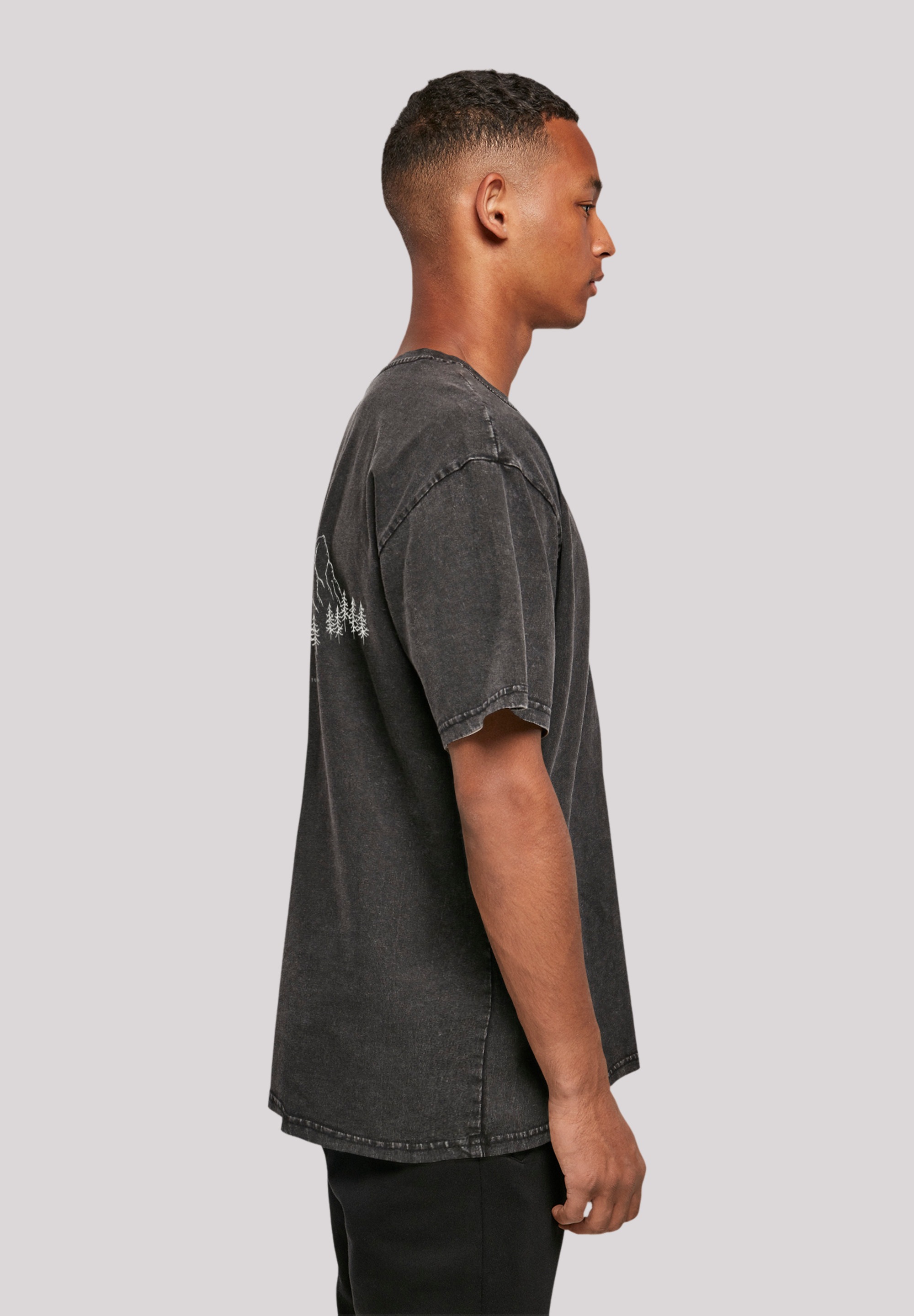 F4NT4STIC T-Shirt »Mountain Berg«, Print