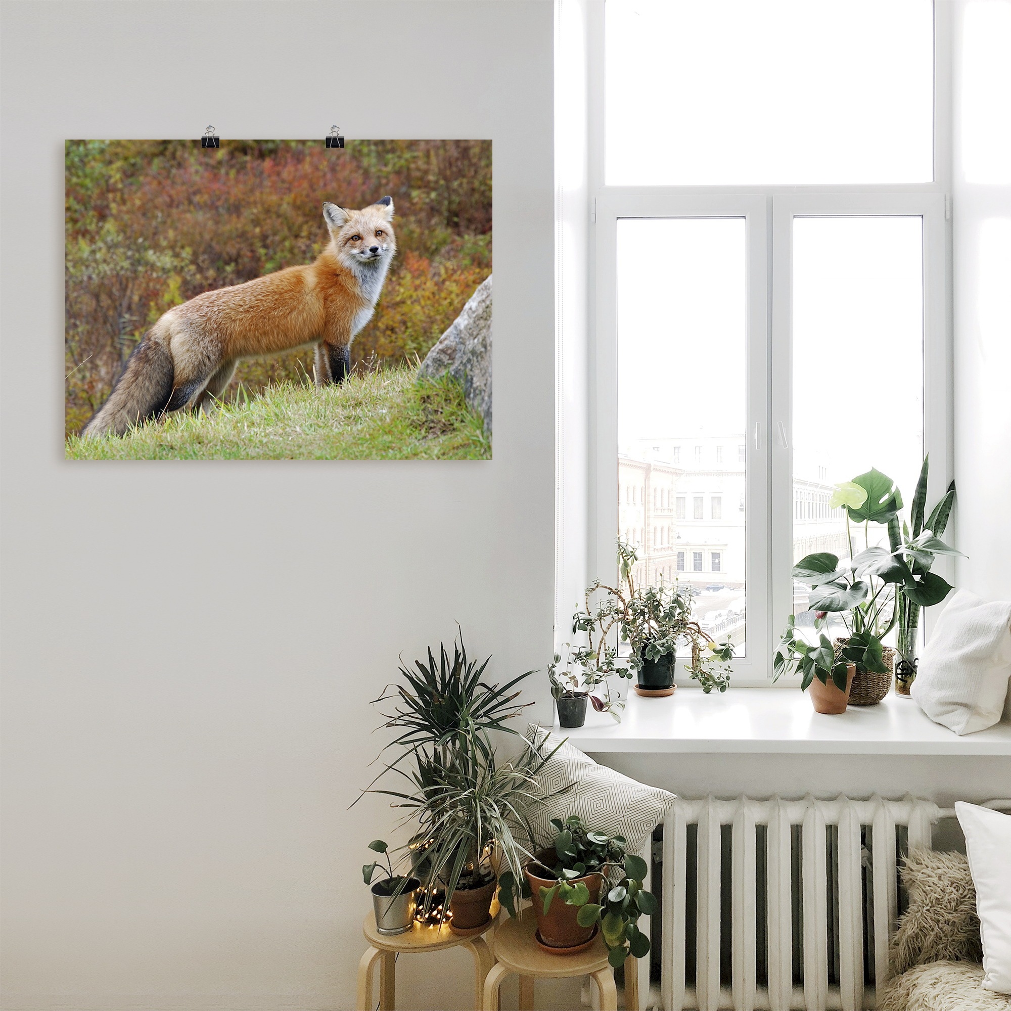 bestellen Wildtiere, »Fuchs Poster Leinwandbild, oder Artland BAUR I«, Größen versch. Wandbild | St.), als in (1 Wandaufkleber