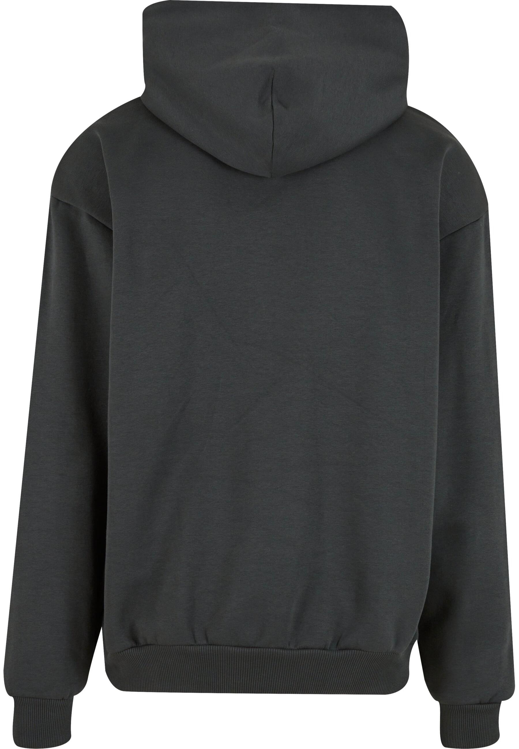 Karl Kani Kapuzensweatshirt "Karl Kani KK Kani Icy Chrome Hoodie" 1 Stk. günstig online kaufen