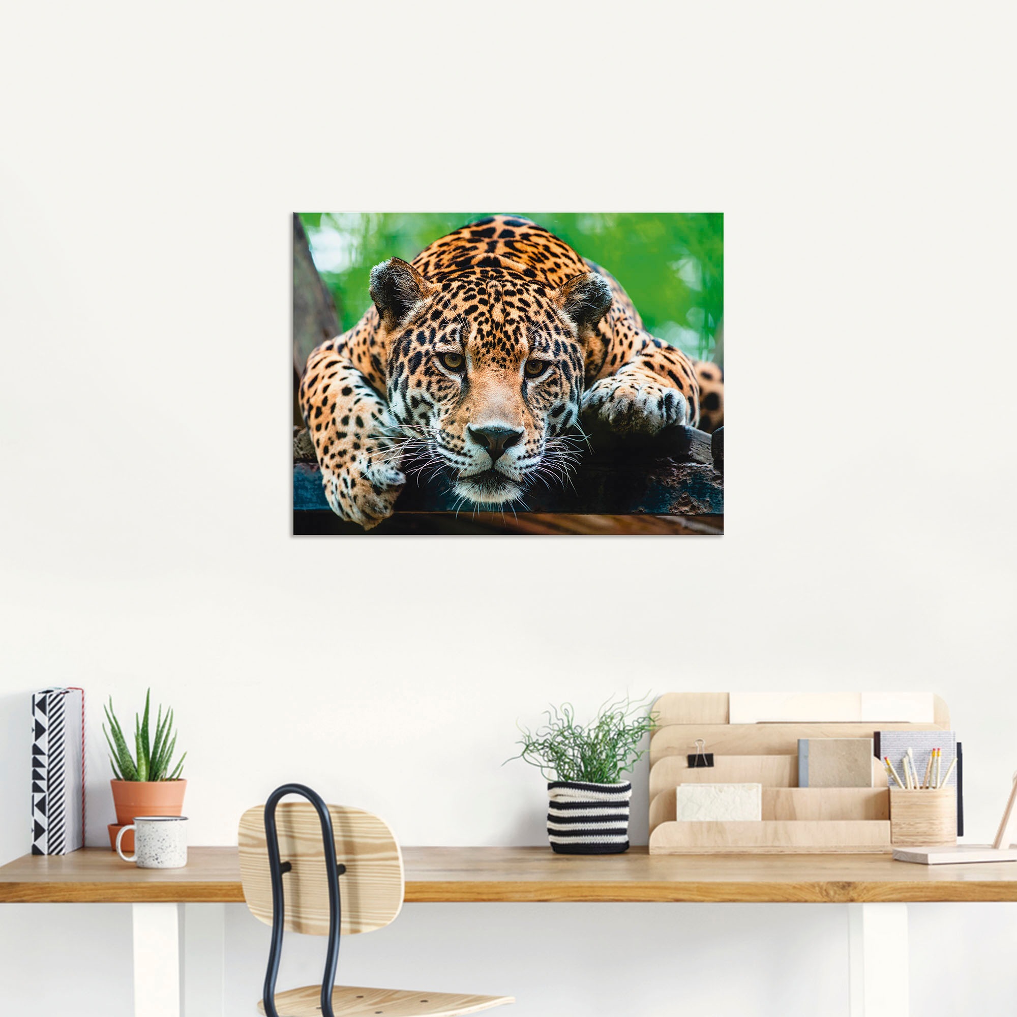 Artland Wandbild »Südamerikanischer Jaguar«, Wildtiere, (1 St.), als Alubild, Outdoorbild, Leinwandbild, Poster, Wandaufkleber