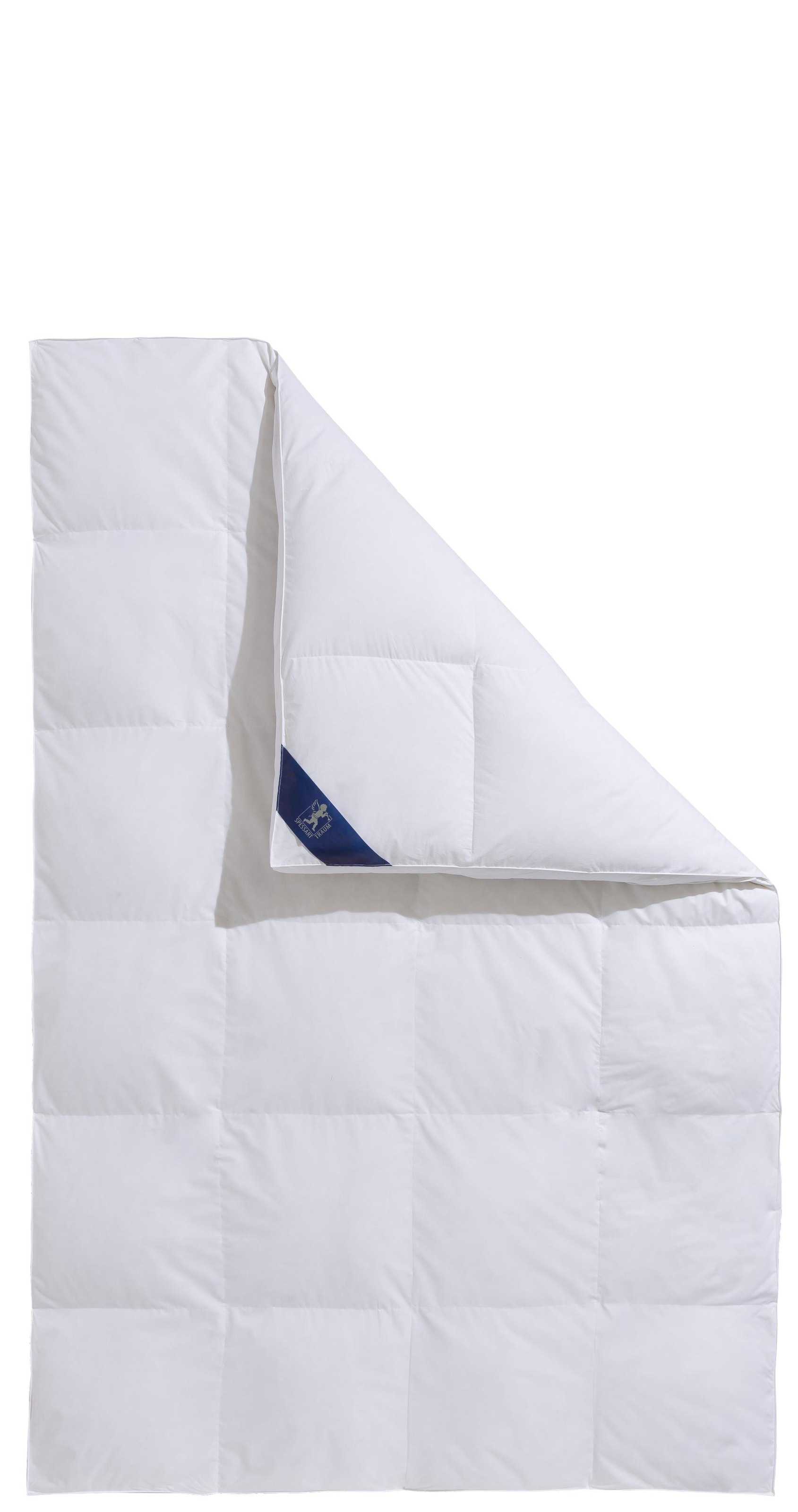 SPESSARTTRAUM Daunenbettdecke + 3-Kammer-Kopfkissen »Exklusiv, 2-tlg, hergestellt in Deutschland, made in Germany, Set«, (Spar-Set, Decke mit Kissen), Sparset: 5 Wärmeklassen, 135x200 cm & 155x220 cm