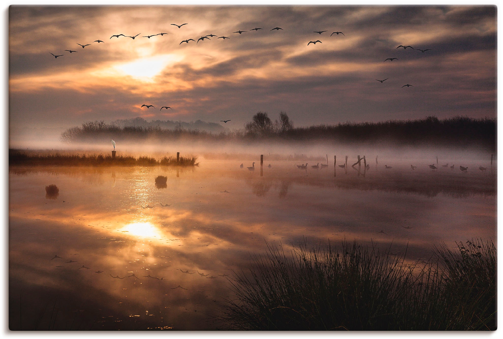 Artland Leinwandbild "Aufbruch der Zugvögel" Gewässer 1 Stk. tlg. auf Holzr günstig online kaufen