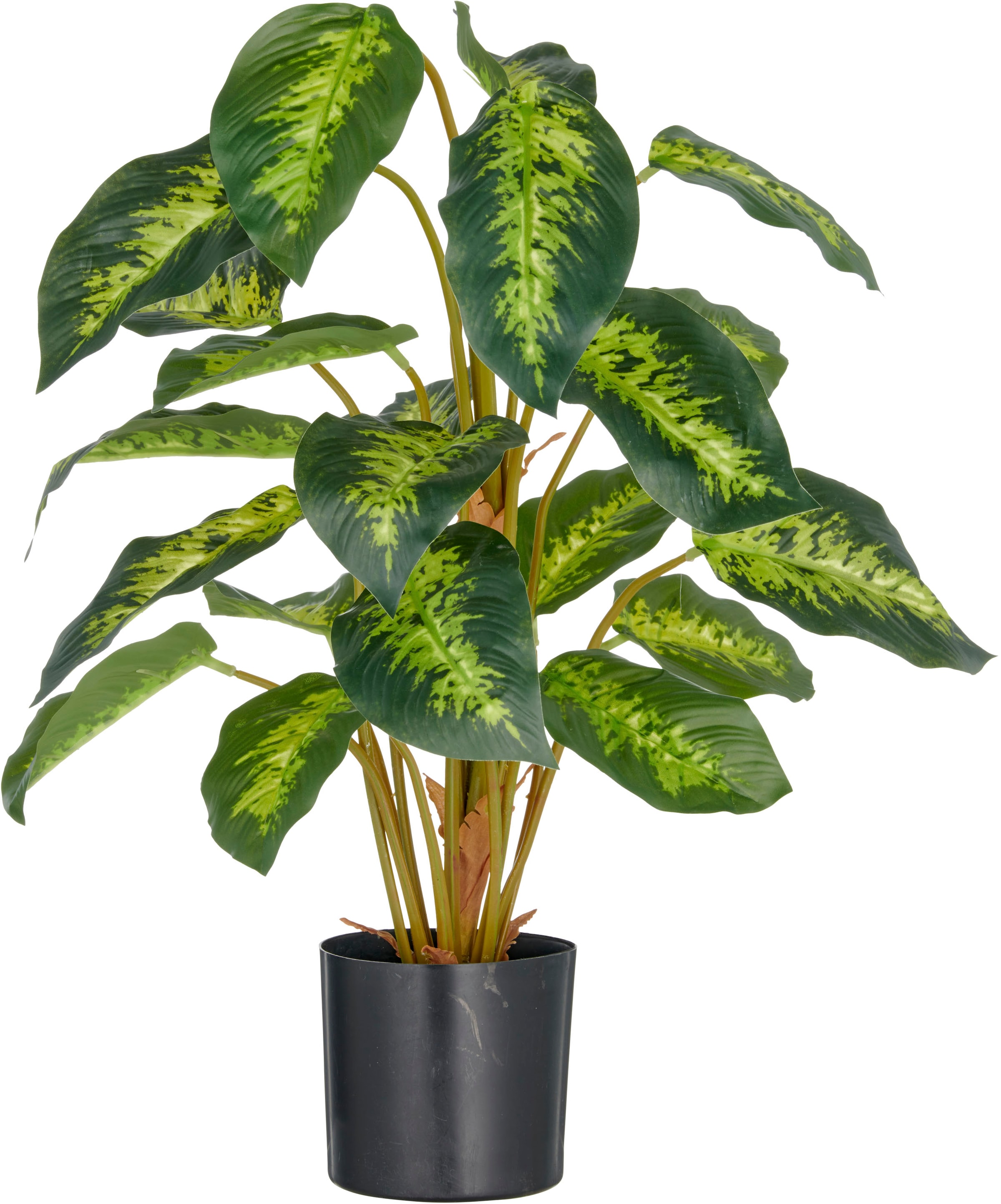 Creativ green Kunstpflanze "Dieffenbachia reeva", mit schönem Blattwerk günstig online kaufen