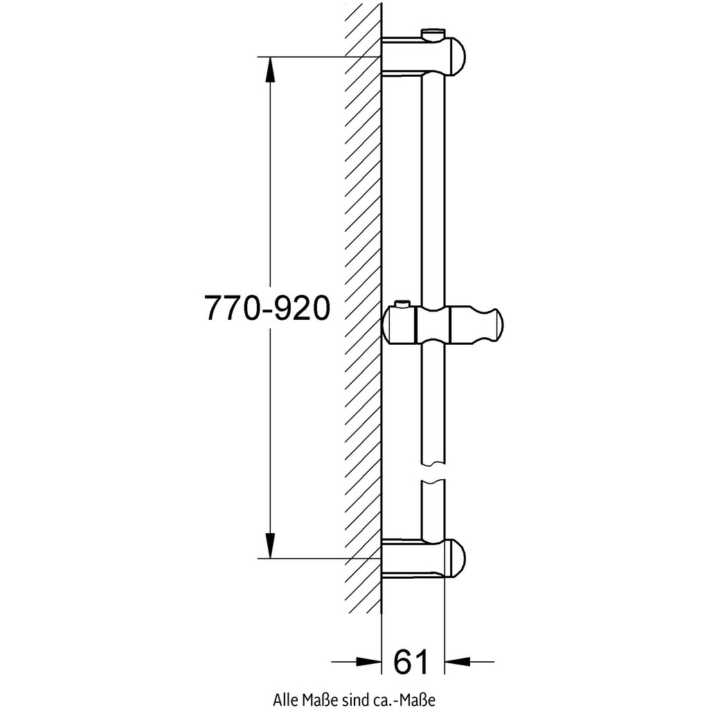 Grohe Brausehalter »Euphoria«, (Packung)