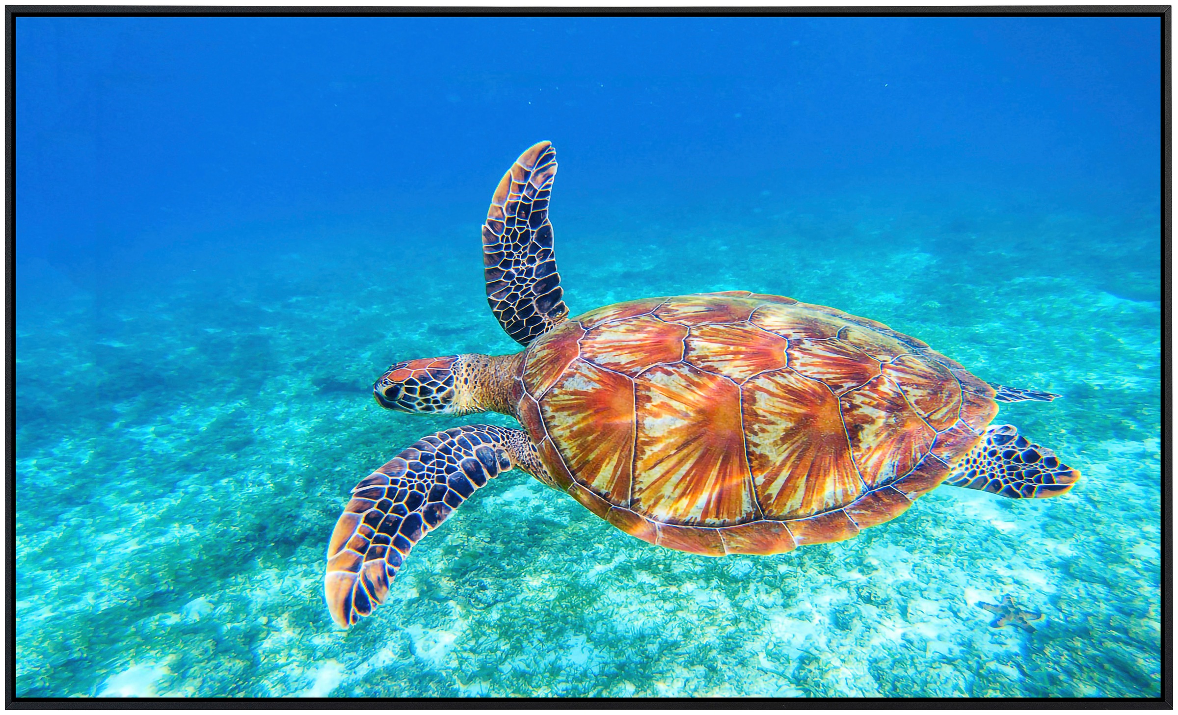 Papermoon Infrarotheizung »Große grüne Meeresschildkröte«, sehr angenehme Strahlungswärme