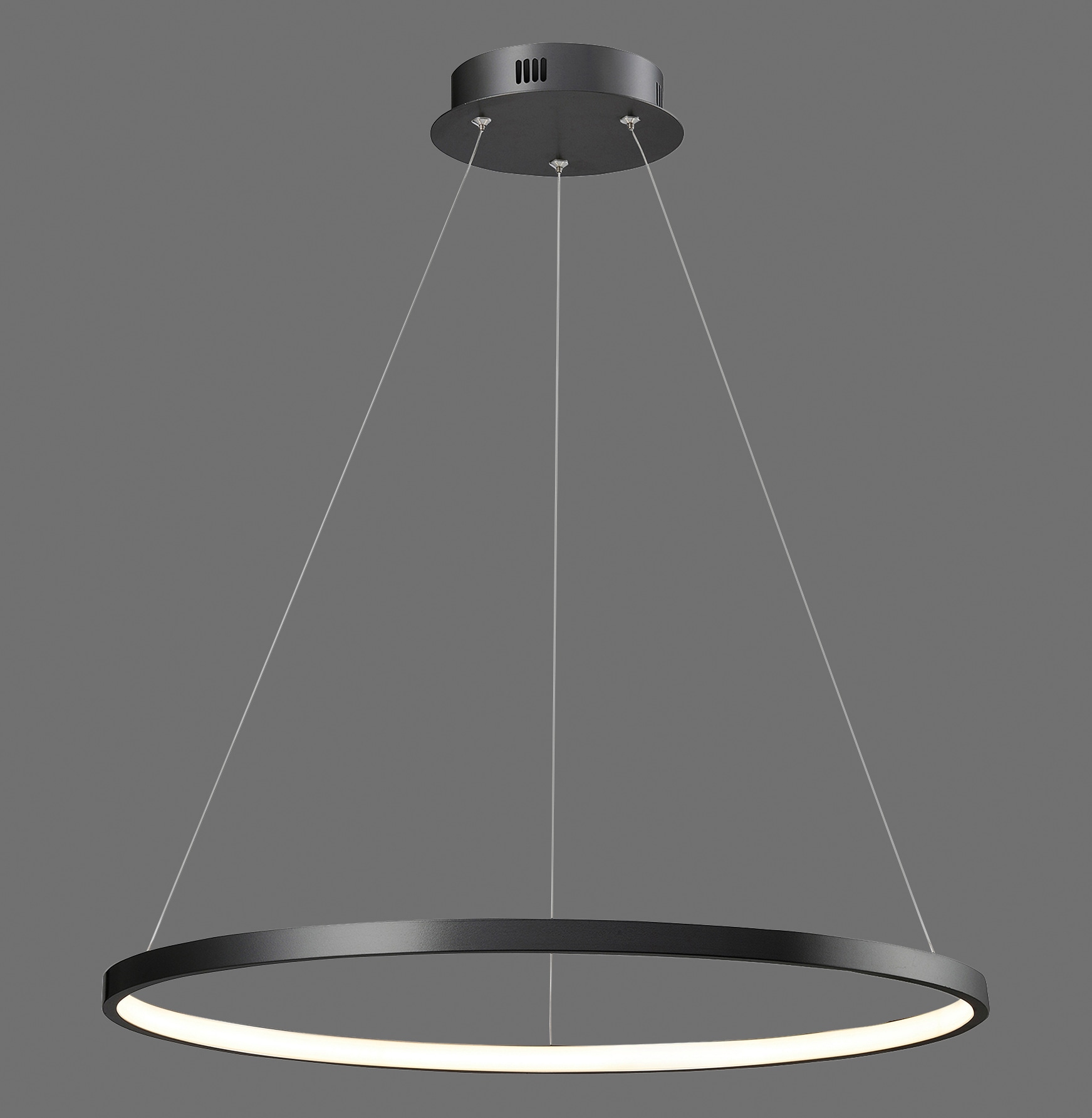 Places of Style LED Pendelleuchte »Raylan«, 1 flammig, Leuchtmittel LED-Board | LED fest integriert, LED Hängelampe modern Ring