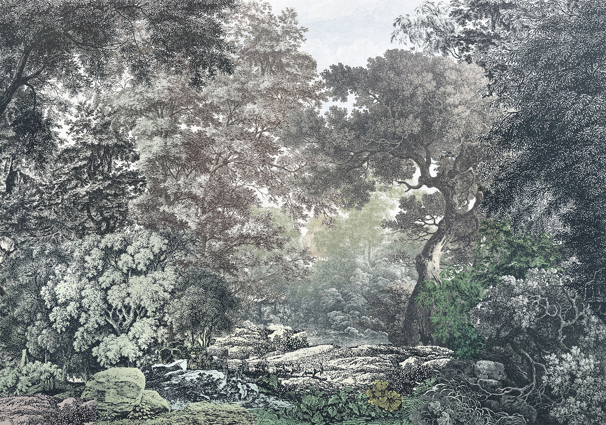 Komar Fototapete "Digitaldruck Vlies - Fairytale Forest - Größe 400 x 280 cm" bedruckt glatt Vlies Fototapete - Fairytale Forest - Größe 400 x 280 cm