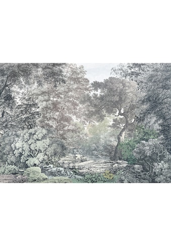 Komar Fototapete »Fototapete«, bedruckt, Vlies Fototapete - Fairytale Forest - Größe... kaufen