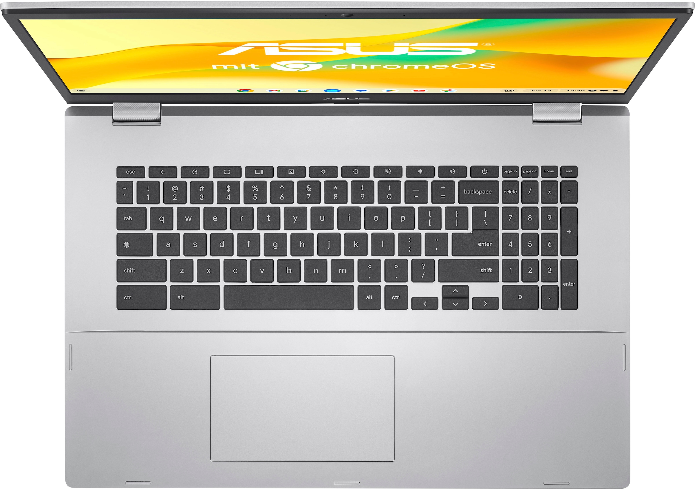 Asus Chromebook »CX1 CX1700CKA-BX0115«, 43,9 cm, / 17,3 Zoll, Intel, Pentium  Silber, UHD Graphics | BAUR