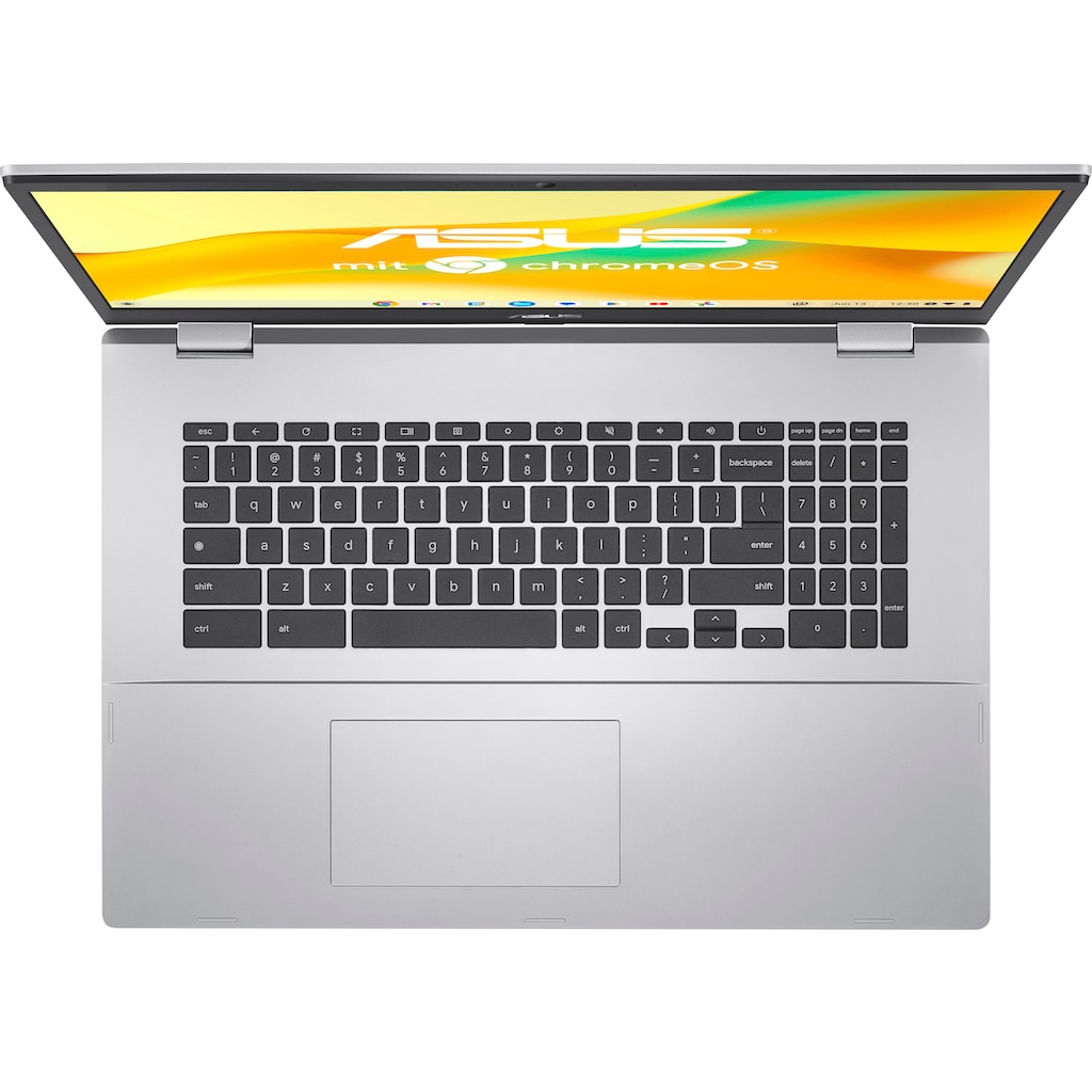 Asus Chromebook »CX1 CX1700CKA-BX0115«, 43,9 cm, / 17,3 Zoll, Intel, Pentium Silber, UHD Graphics