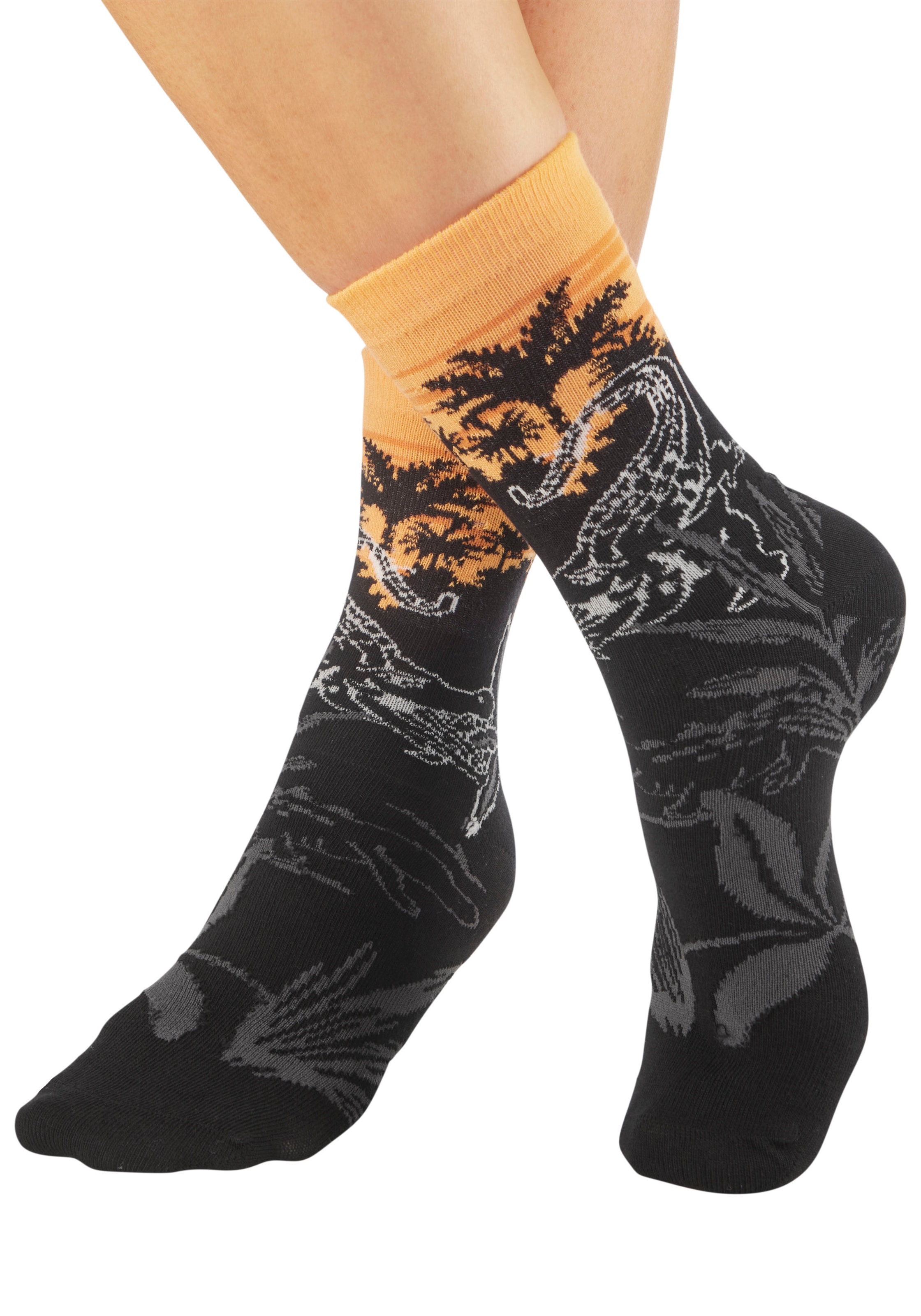 H.I.S Basicsocken Packung, 5 Paar tlg. mit aufwendigen Designs