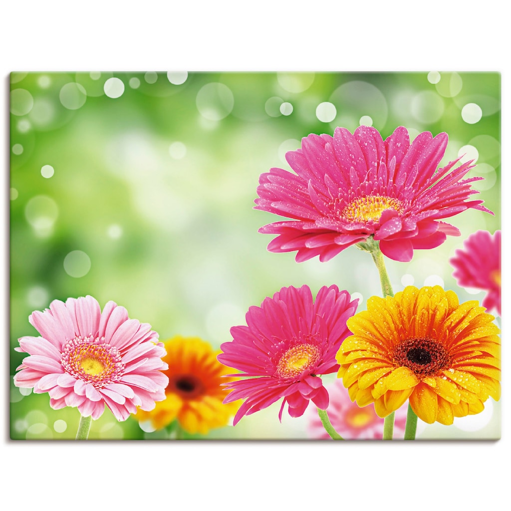 Artland Wandbild »Natürliche Romantik - Gerberas«, Blumen, (1 St.)