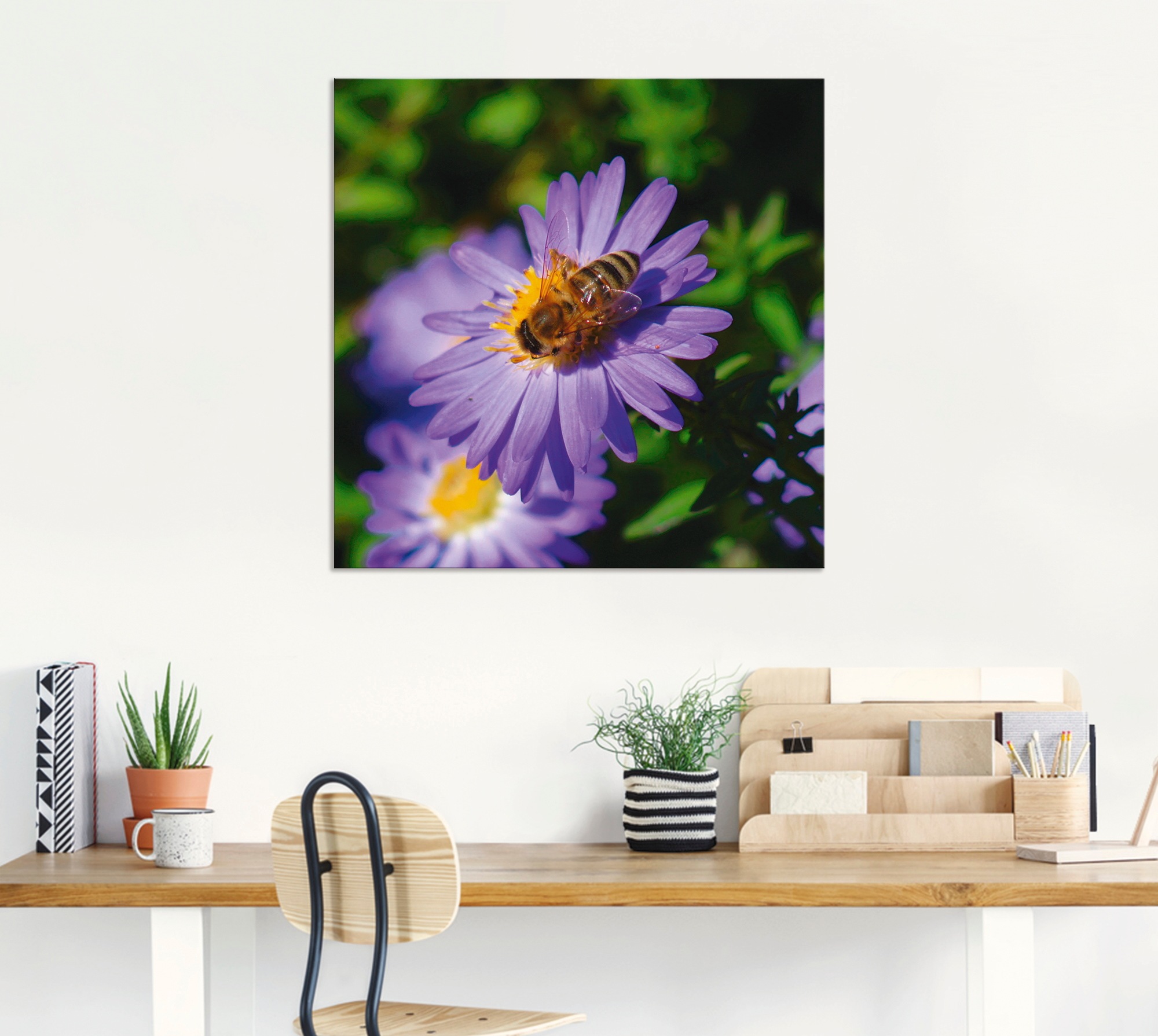 Artland Wandbild »Honigbiene auf lila Aster«, Insekten, (1 St.), als Alubild, Leinwandbild, Wandaufkleber oder Poster in versch. Größen