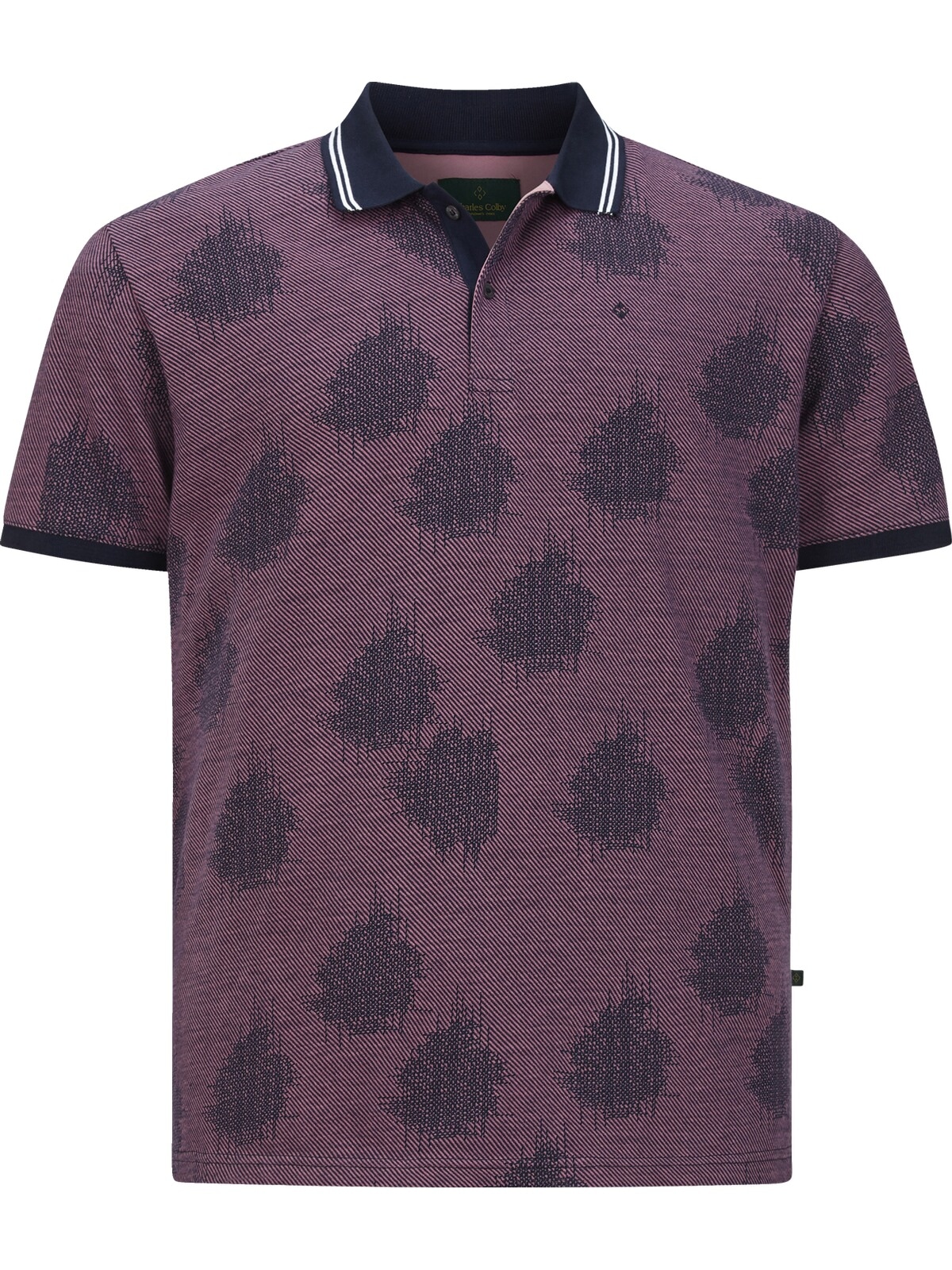 Charles Colby Poloshirt »Poloshirt EARL NEELS«, (1 tlg.), Kragen mit sportiven Streifen