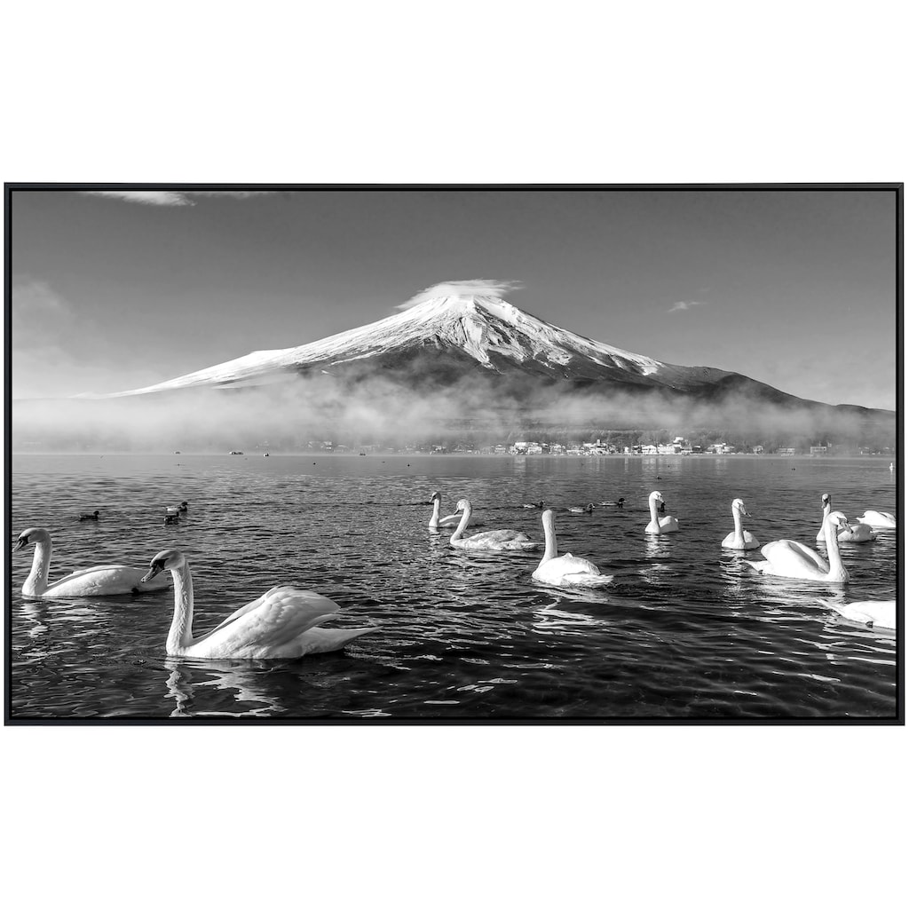Papermoon Infrarotheizung »Mount Fuji mit Schwänen Schwarz & Weiß«