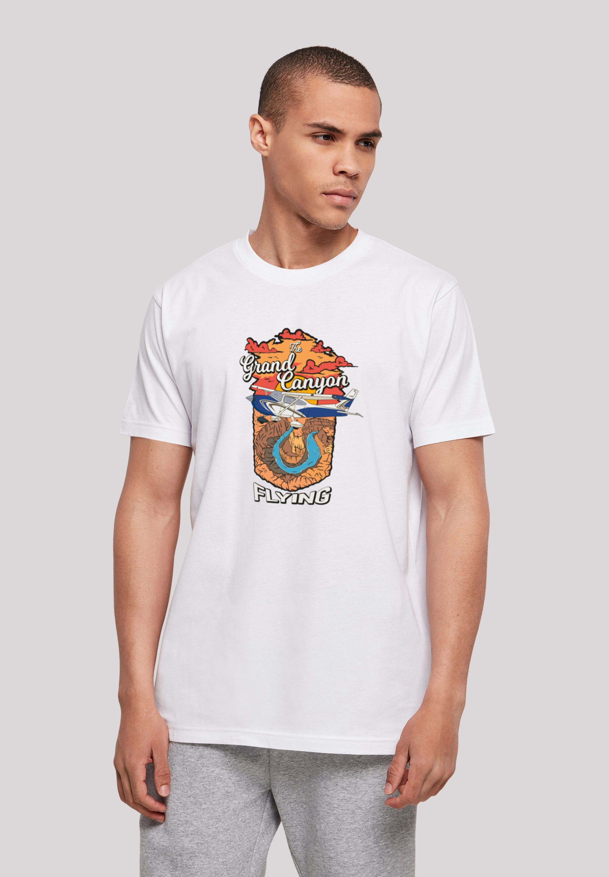 F4NT4STIC T-Shirt »Grand Canyon Flying«, Print